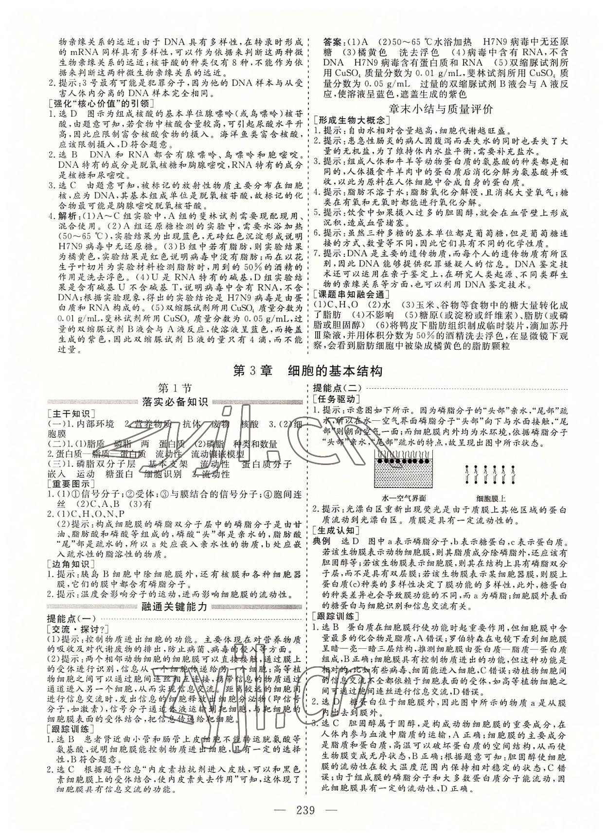 2022年新課程學案高中同步導學高中生物必修1人教版 參考答案第7頁