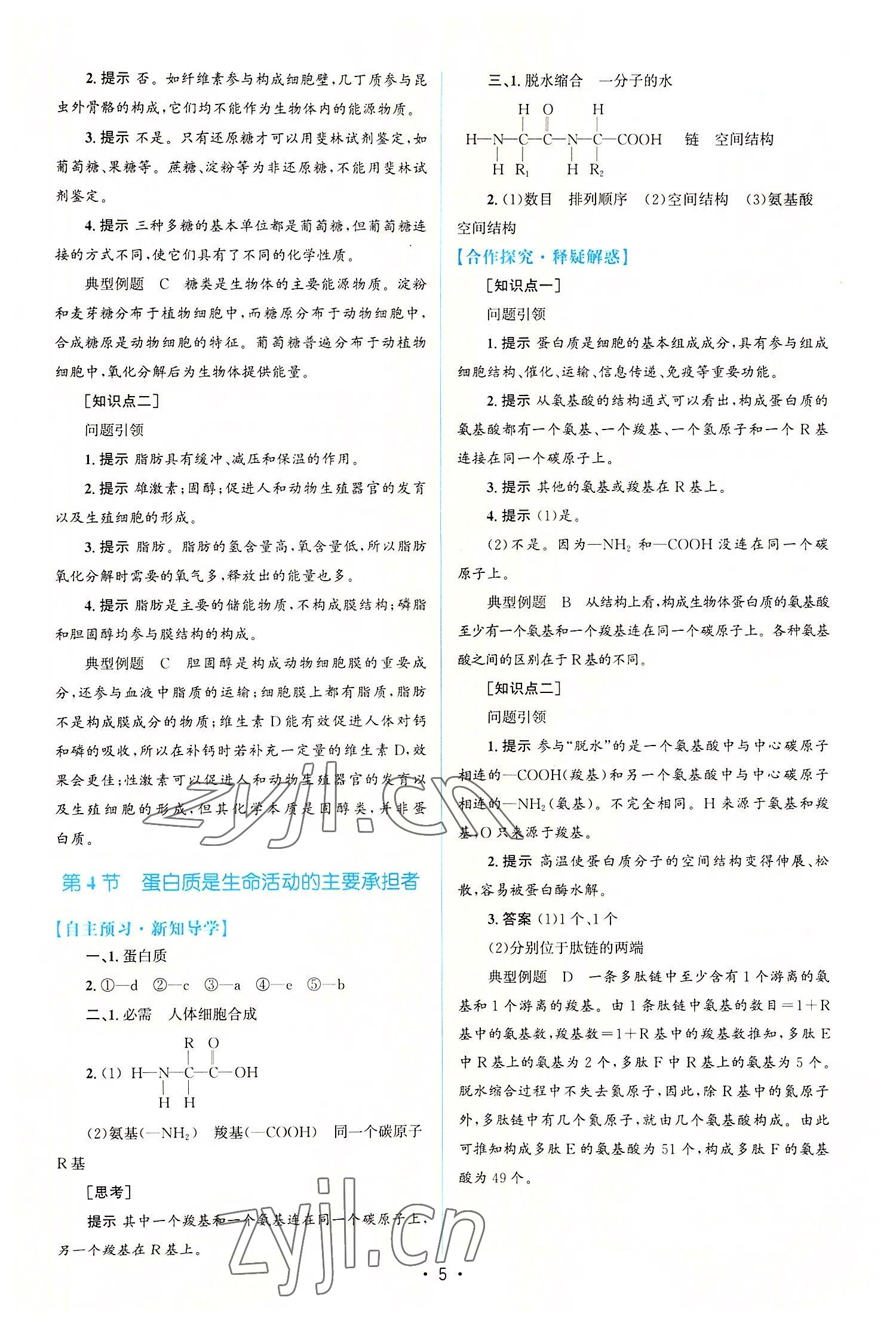 2022年高中同步測(cè)控優(yōu)化設(shè)計(jì)高中生物必修1人教版 參考答案第4頁(yè)