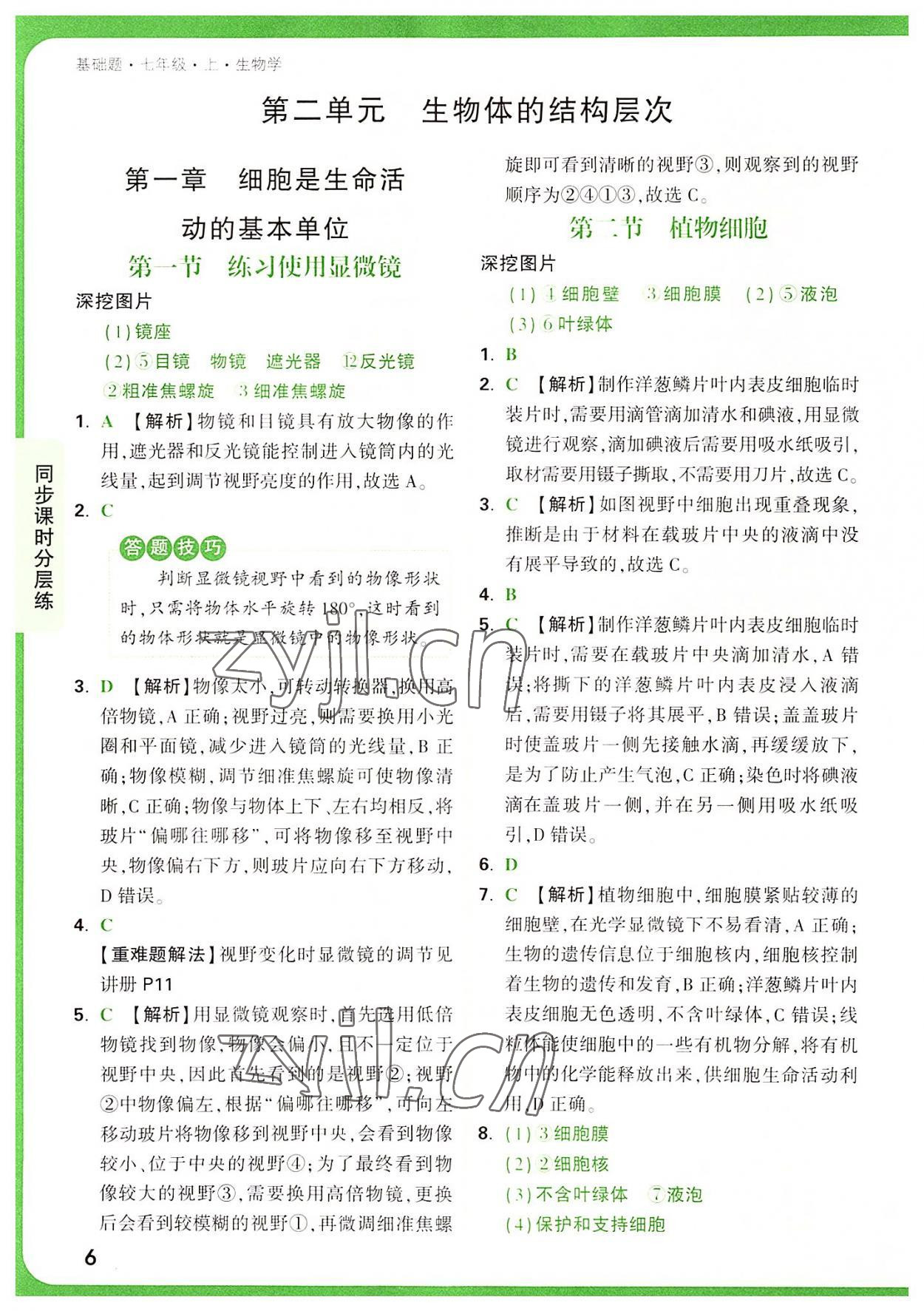 2022年萬(wàn)唯中考基礎(chǔ)題七年級(jí)生物上冊(cè)人教版 第6頁(yè)