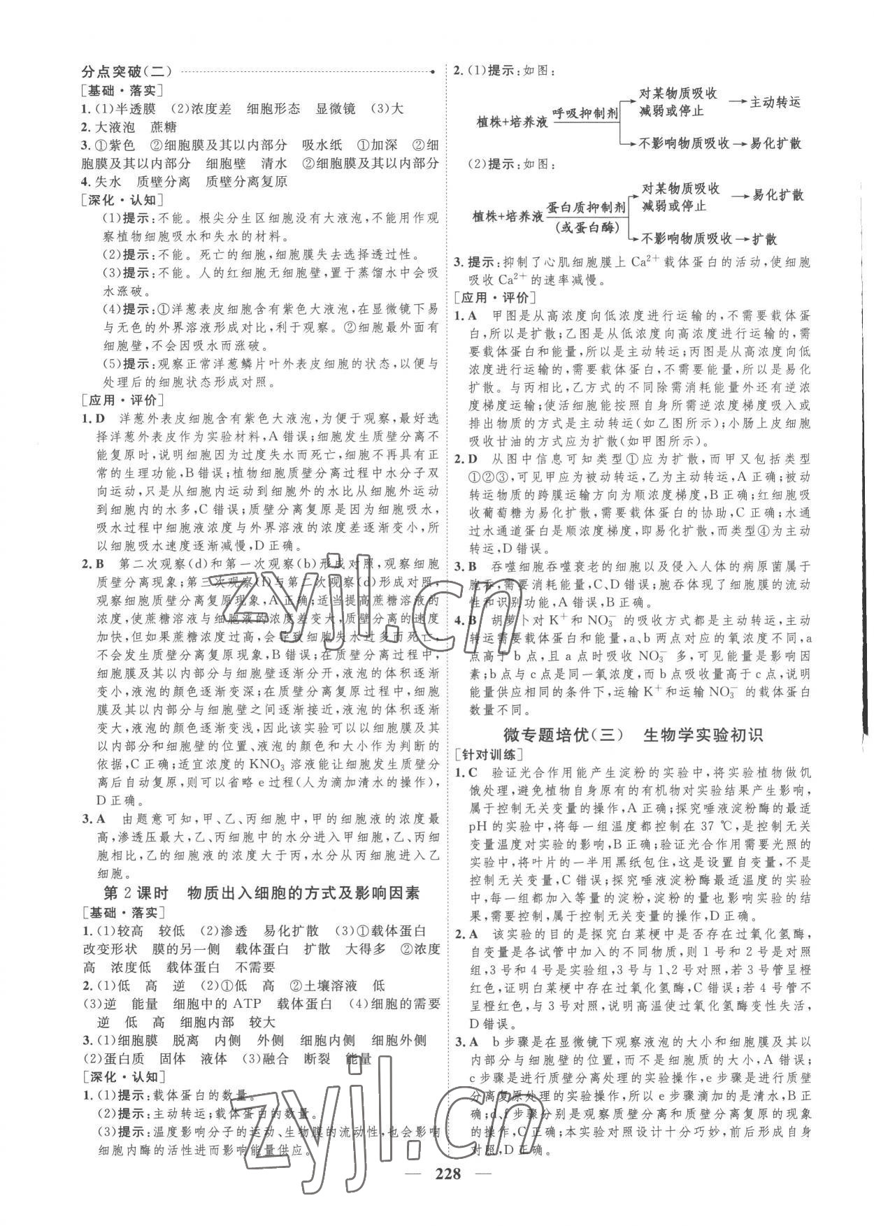 2022年三維設(shè)計高中生物必修1浙科版 參考答案第12頁