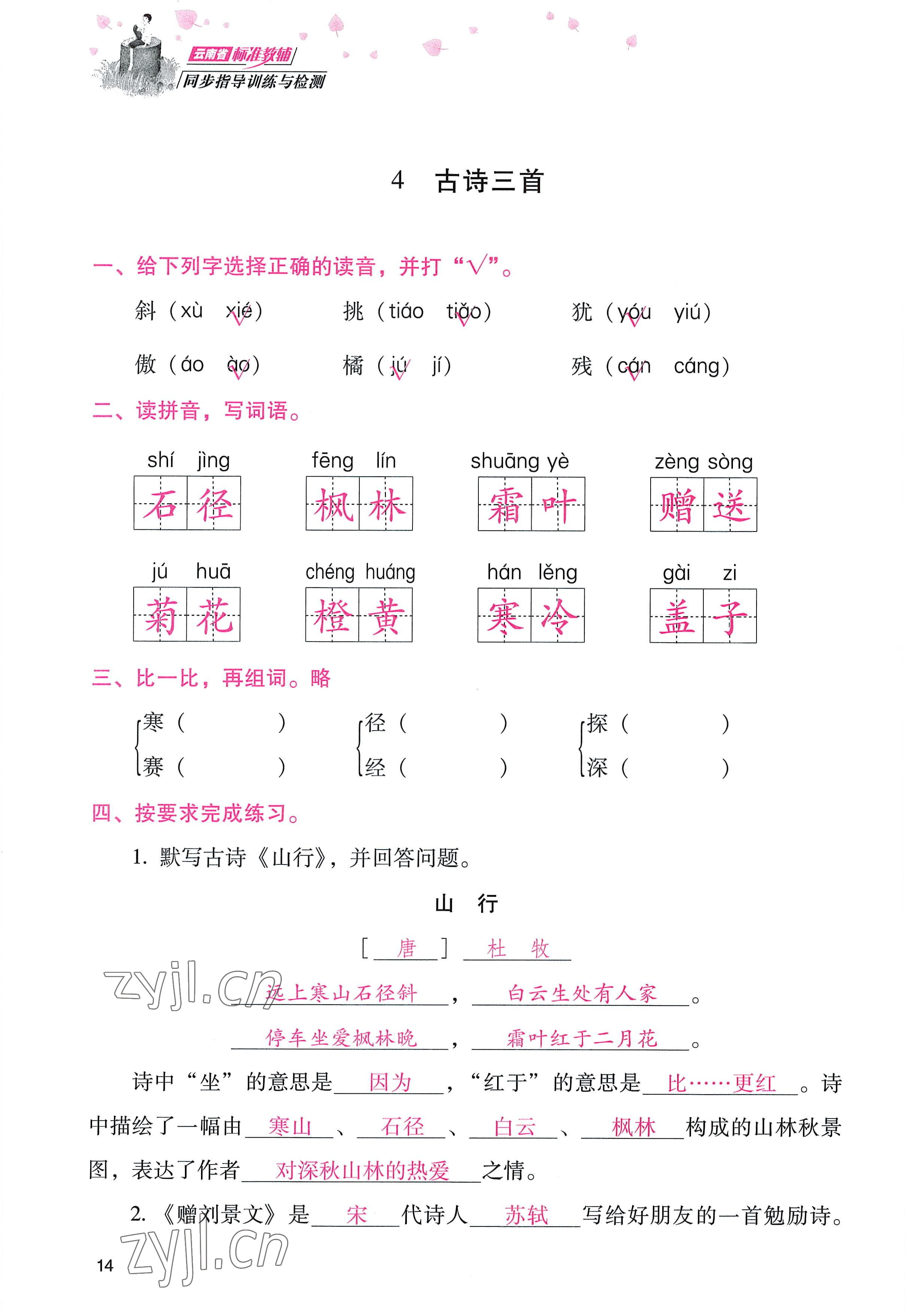 2022年云南省标准教辅同步指导训练与检测三年级语文上册人教版 参考答案第13页