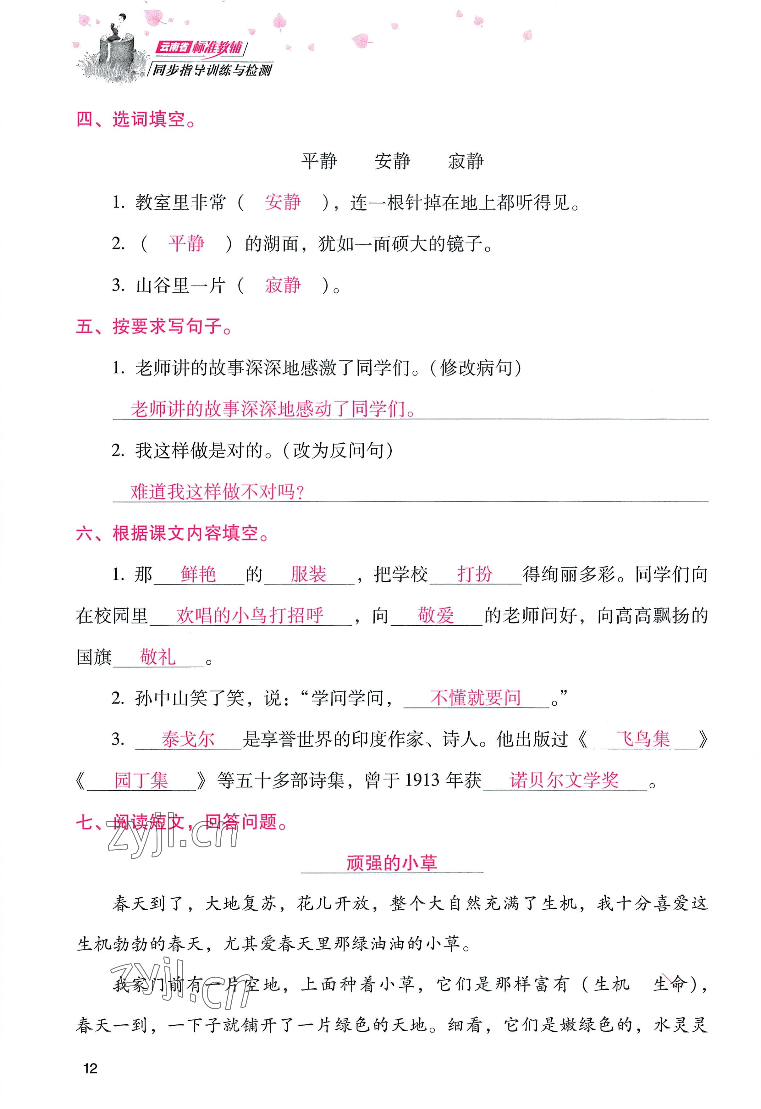 2022年云南省标准教辅同步指导训练与检测三年级语文上册人教版 参考答案第11页