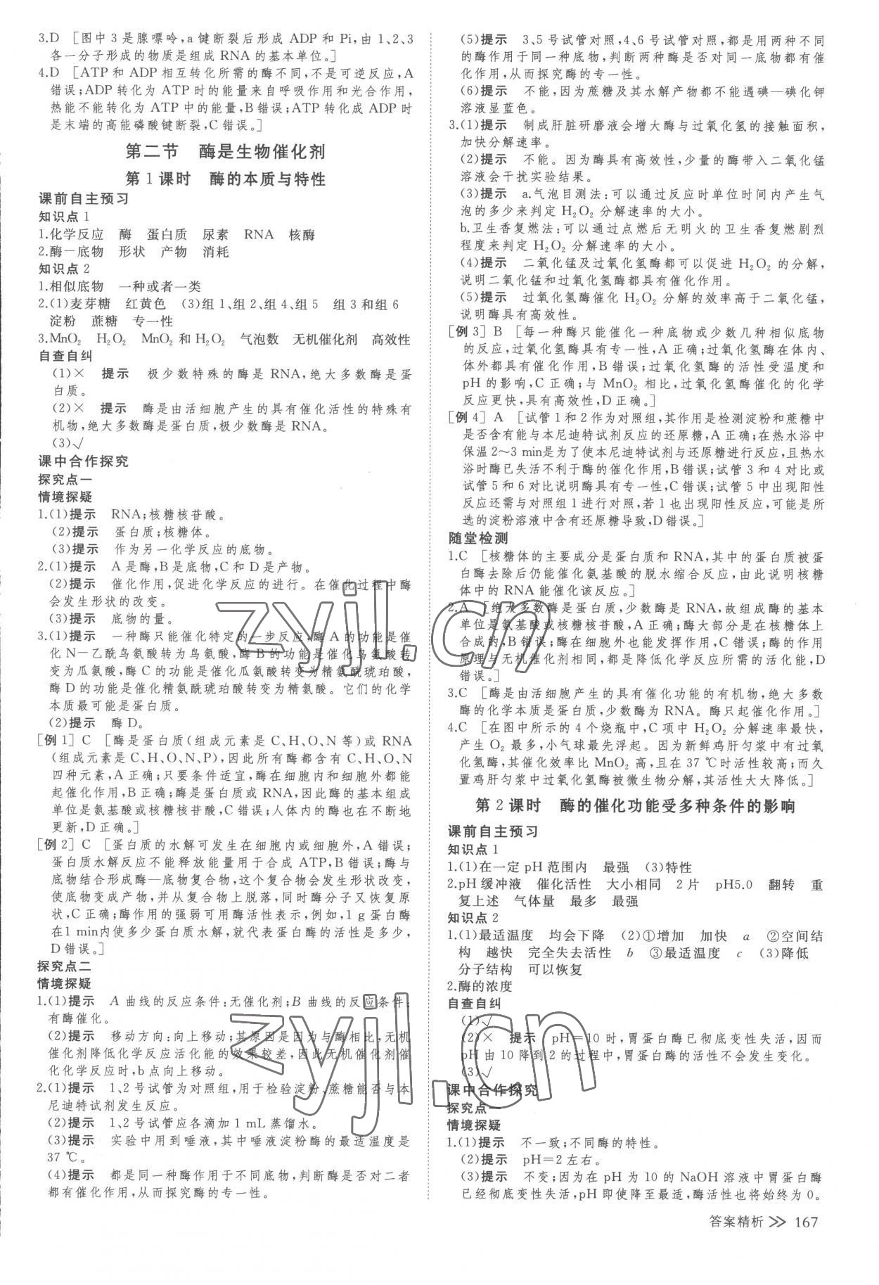 2022年創(chuàng)新設(shè)計(jì)高一生物上冊(cè)浙科版 參考答案第10頁(yè)