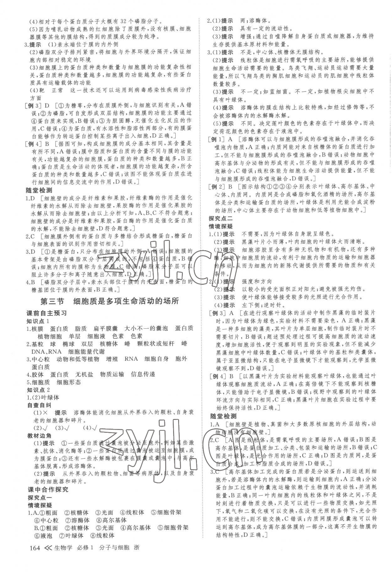 2022年創(chuàng)新設(shè)計(jì)高一生物上冊(cè)浙科版 參考答案第7頁