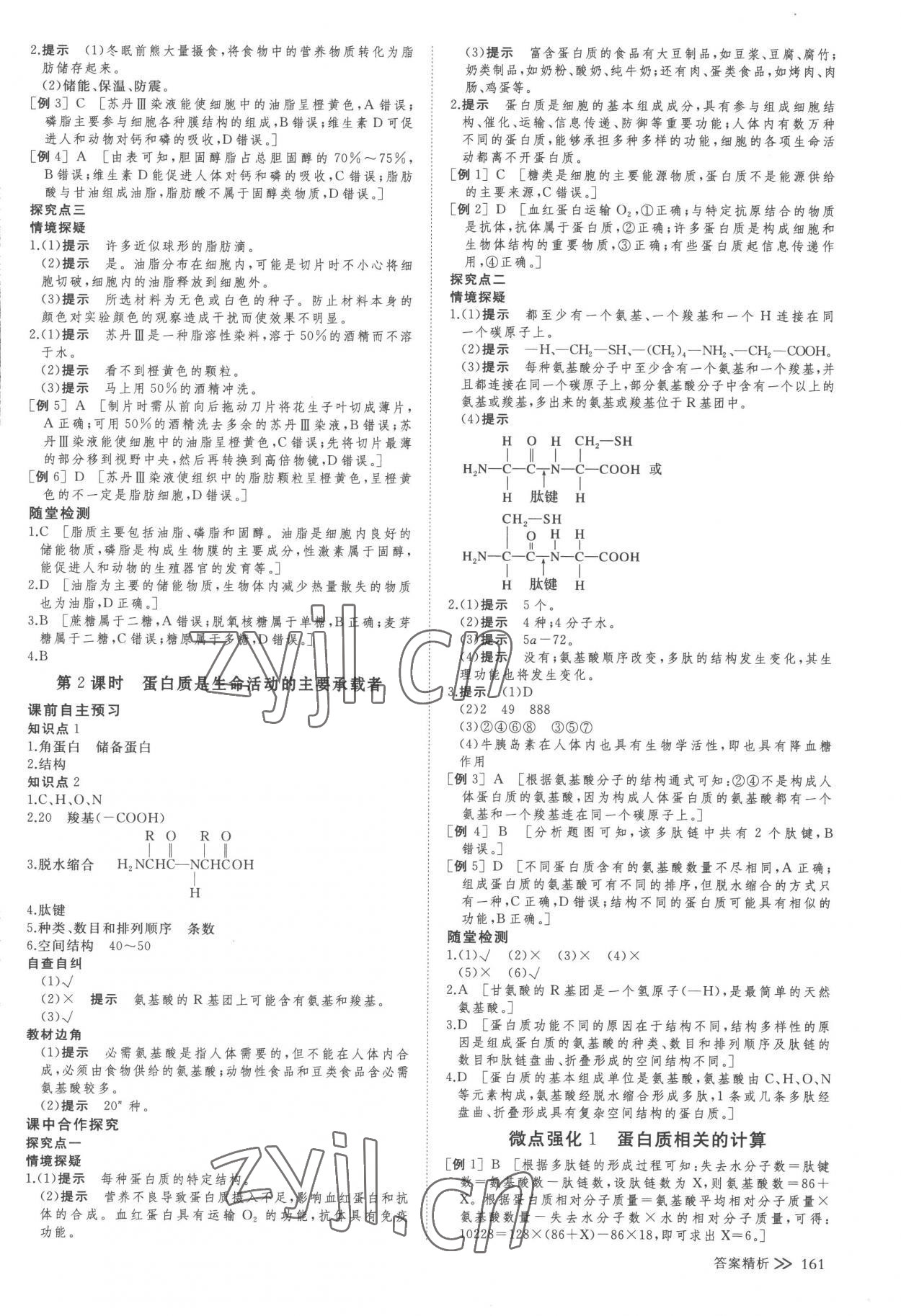 2022年創(chuàng)新設(shè)計高一生物上冊浙科版 參考答案第4頁