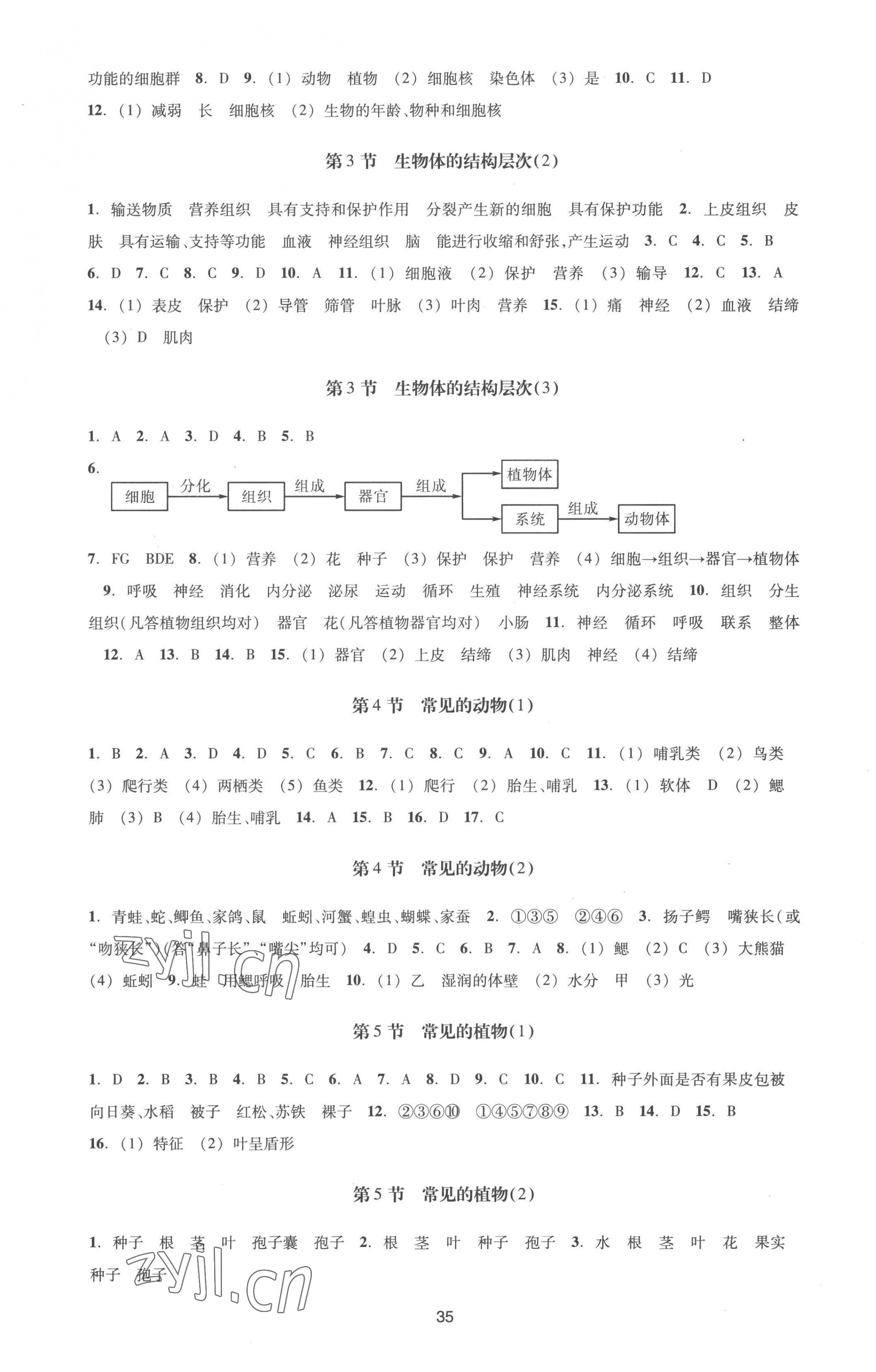 2022年學能評價七年級科學上冊浙教版 第3頁