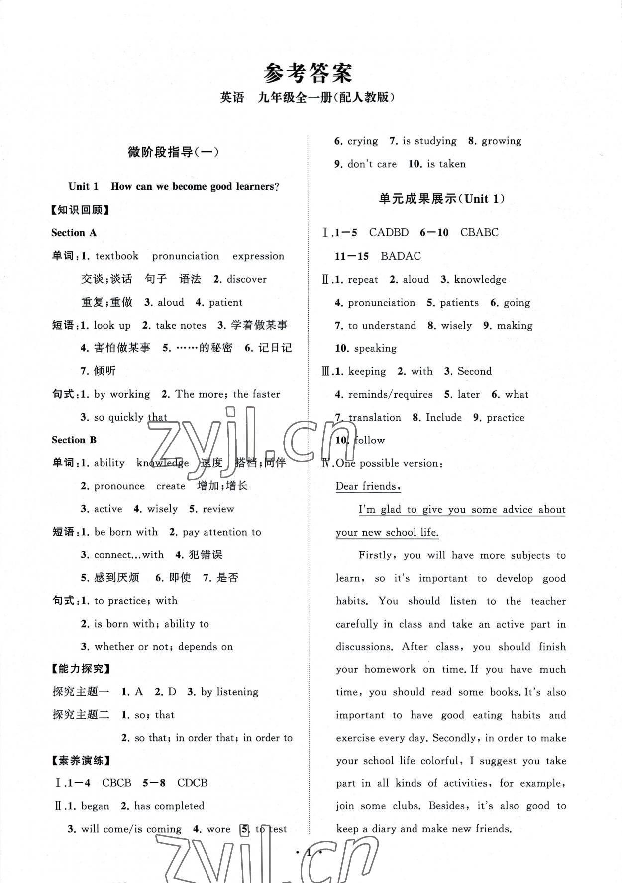 2022年同步練習(xí)冊(cè)分層卷九年級(jí)英語(yǔ)全一冊(cè)人教版 第1頁(yè)