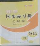 2022年同步練習(xí)冊(cè)分層卷九年級(jí)英語(yǔ)全一冊(cè)人教版