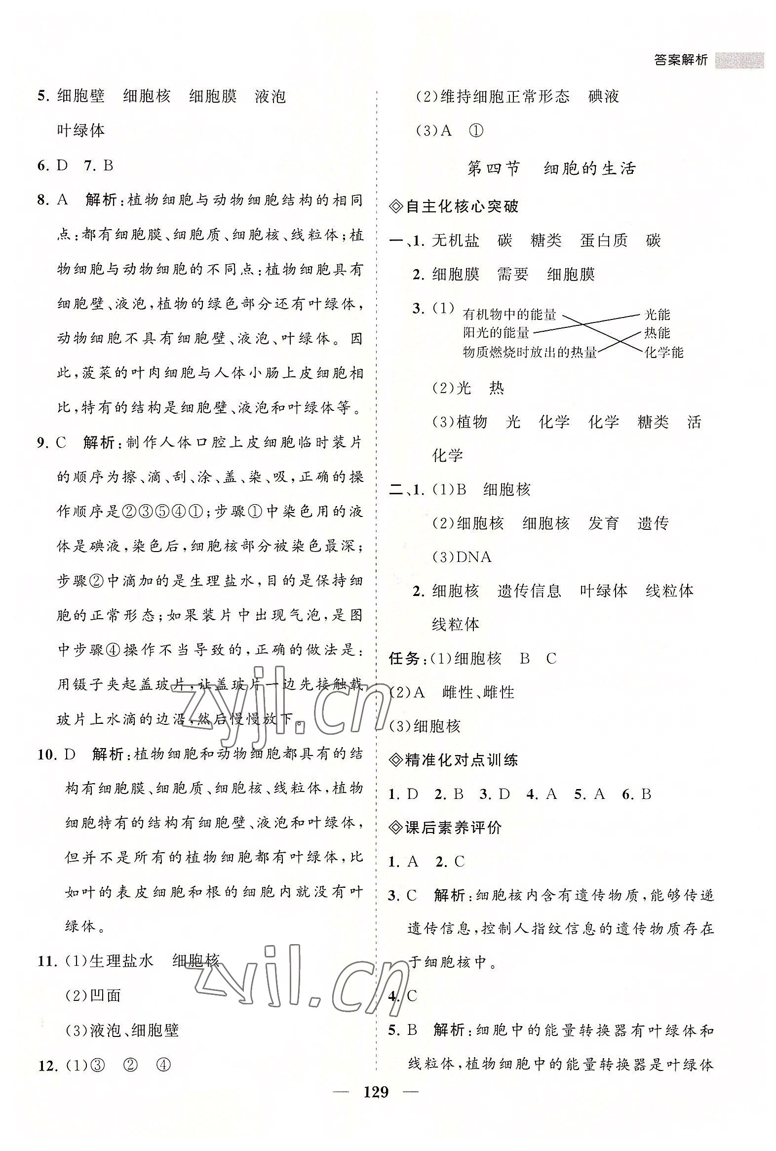 2022年新课程同步练习册七年级生物上册人教版 第11页