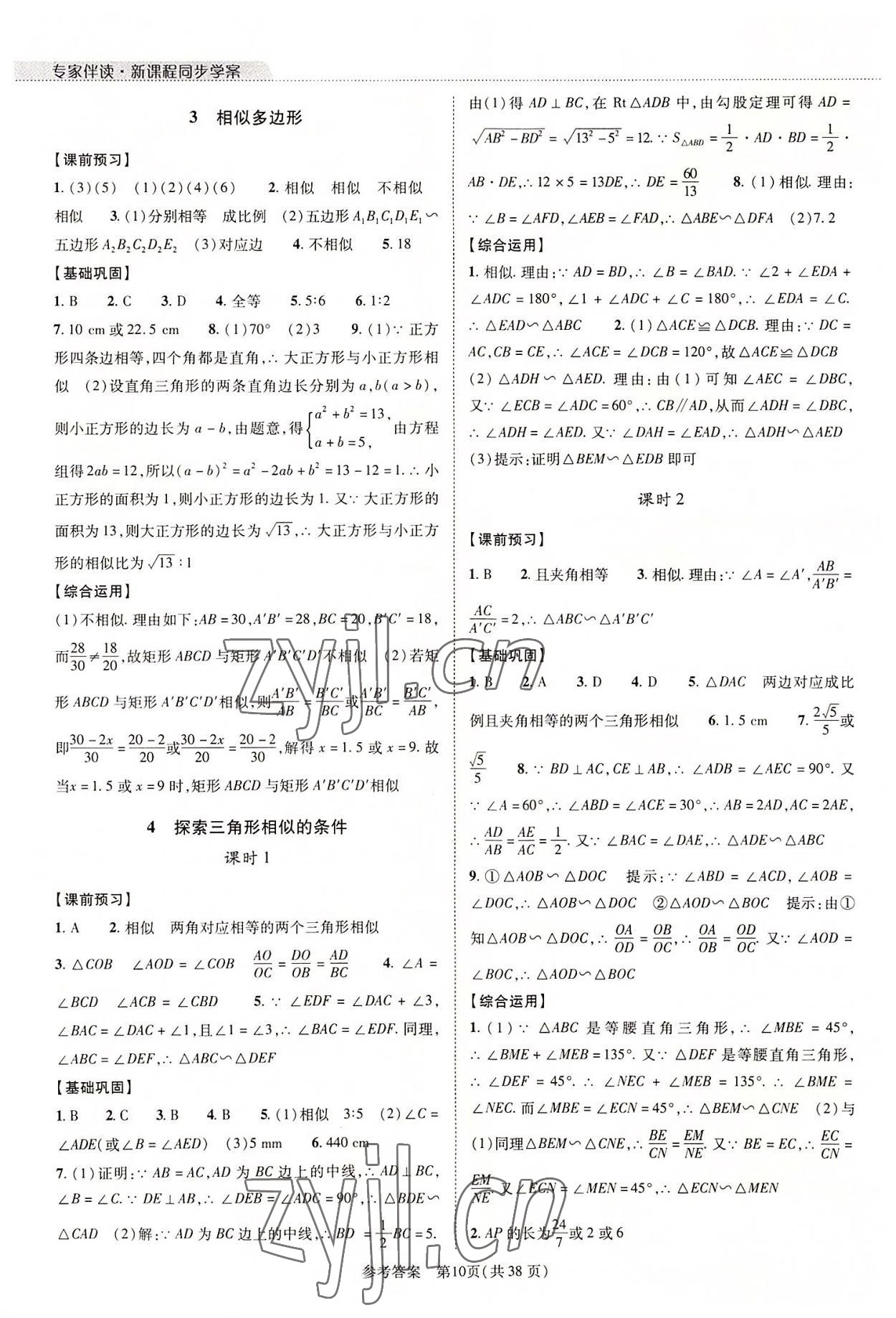 2022年新課程同步學案九年級數(shù)學全一冊北師大版 參考答案第10頁