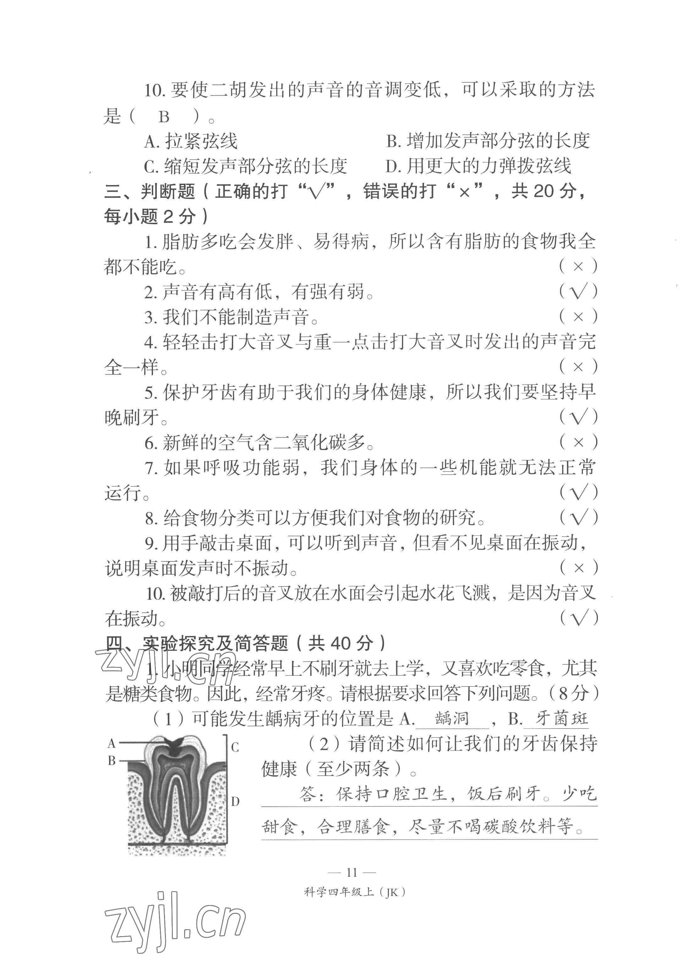 2022年课前课后同步练四年级科学上册教科版&nbsp;第11页
