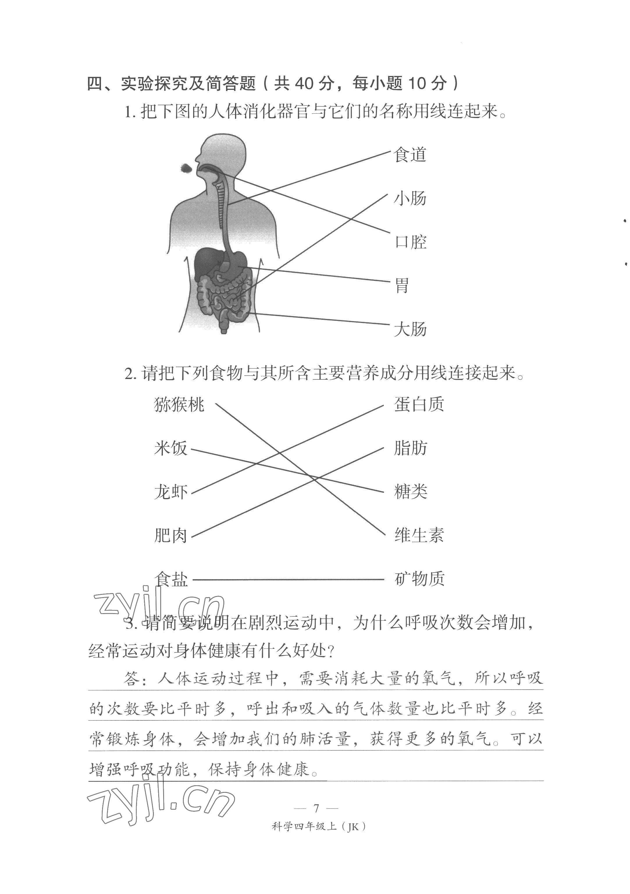 2022年课前课后同步练四年级科学上册教科版&nbsp;第7页