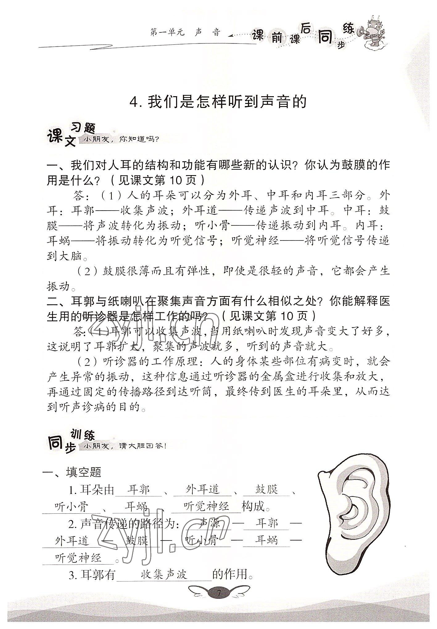 2022年课前课后同步练四年级科学上册教科版&nbsp;参考答案第7页