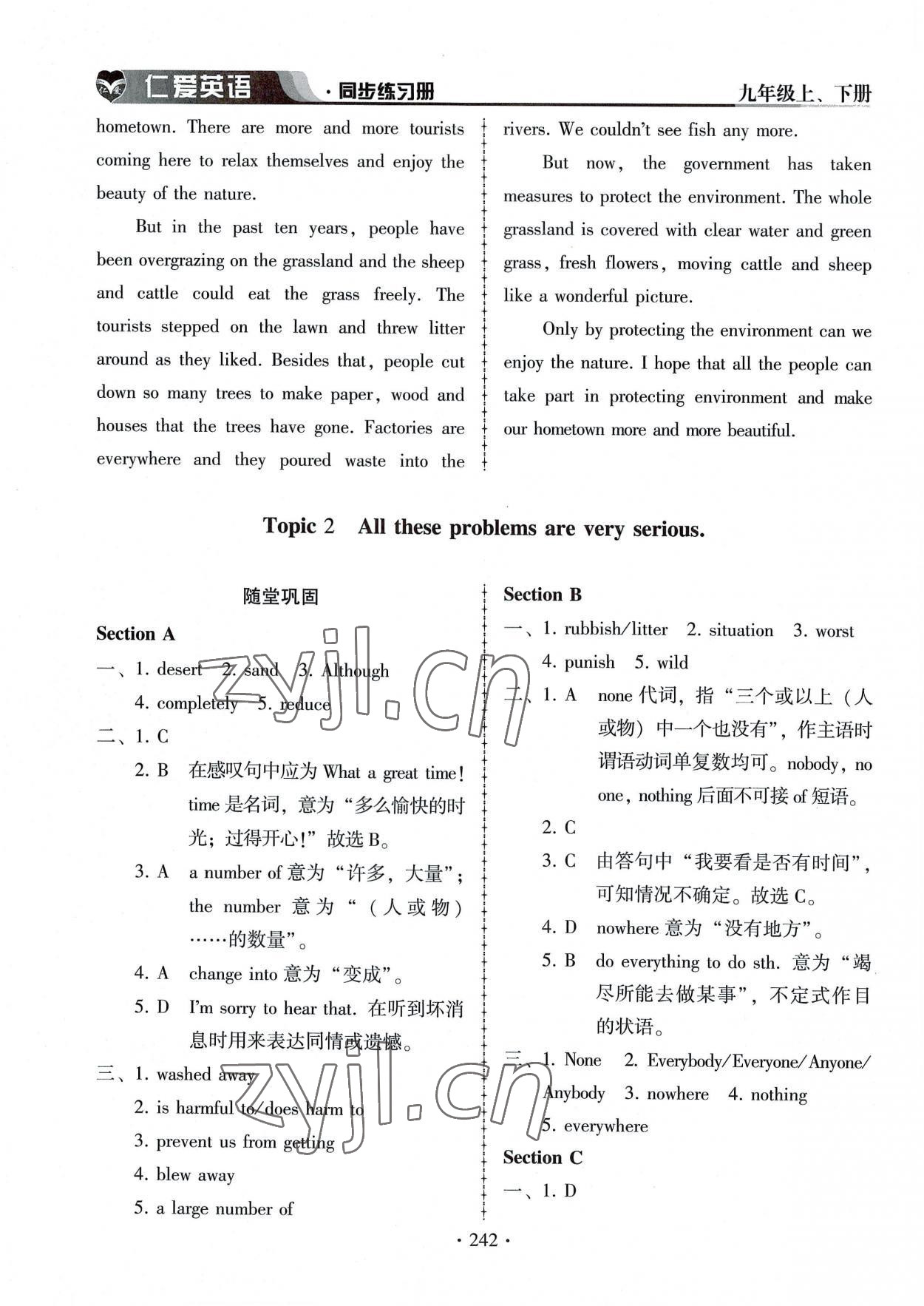 2022年仁爱英语同步练习册九年级上下册合订本 第14页