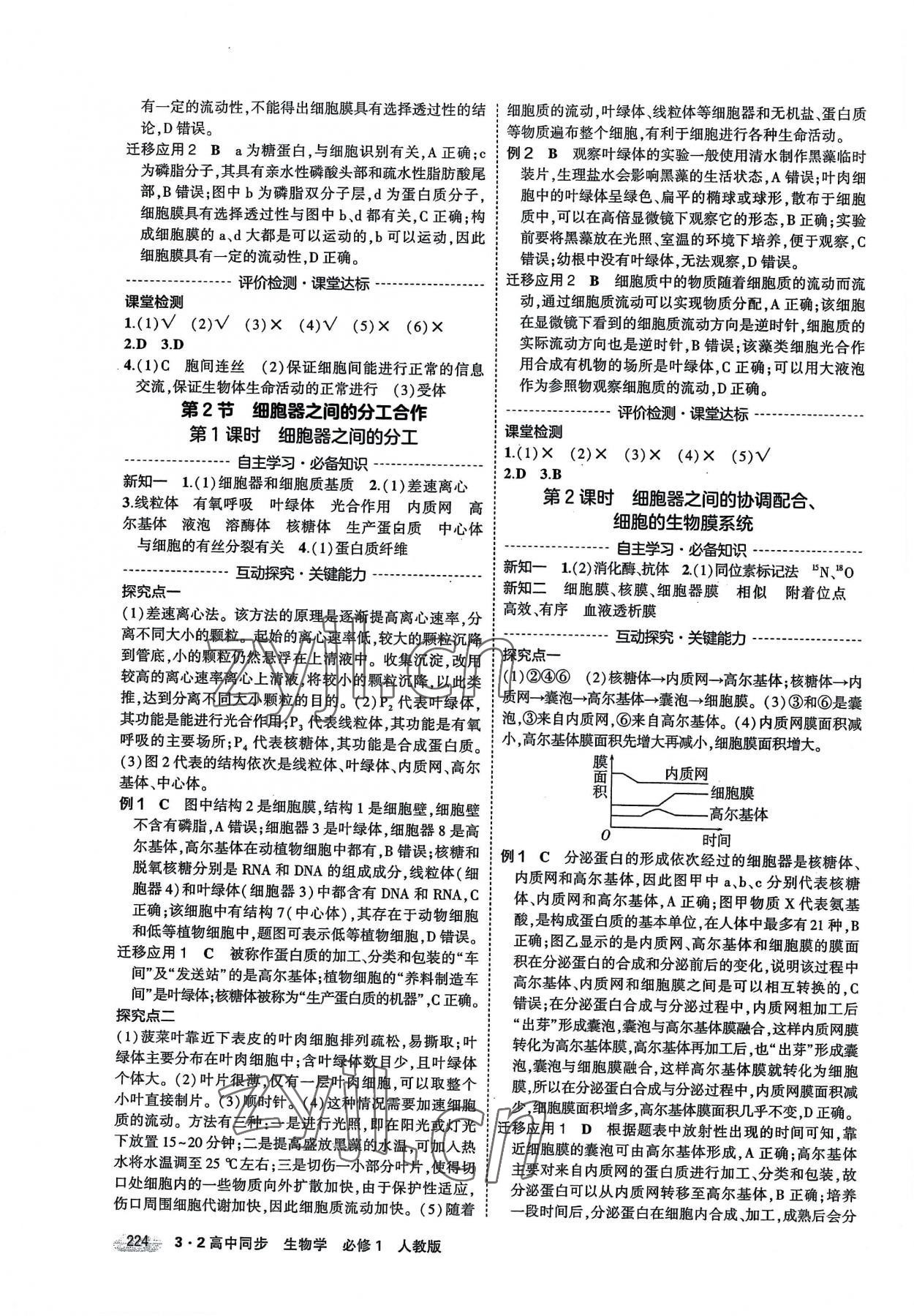 2022年3年高考2年模擬高中生物必修1人教版 第6頁