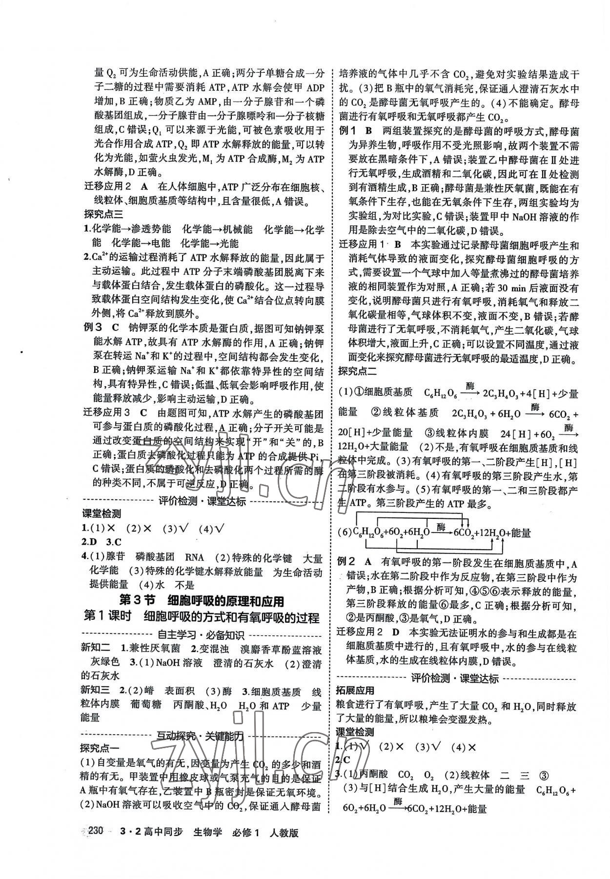 2022年3年高考2年模擬高中生物必修1人教版 第12頁(yè)