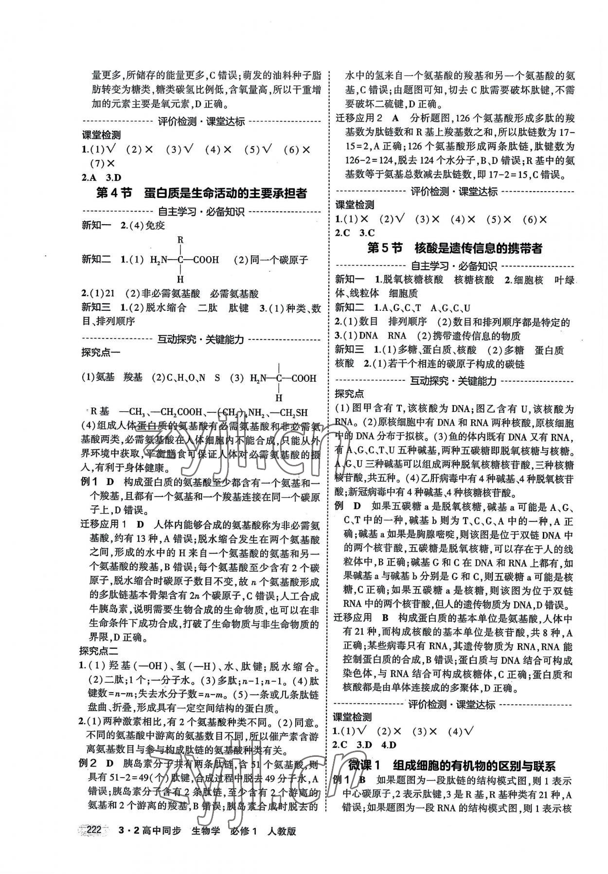 2022年3年高考2年模擬高中生物必修1人教版 第4頁