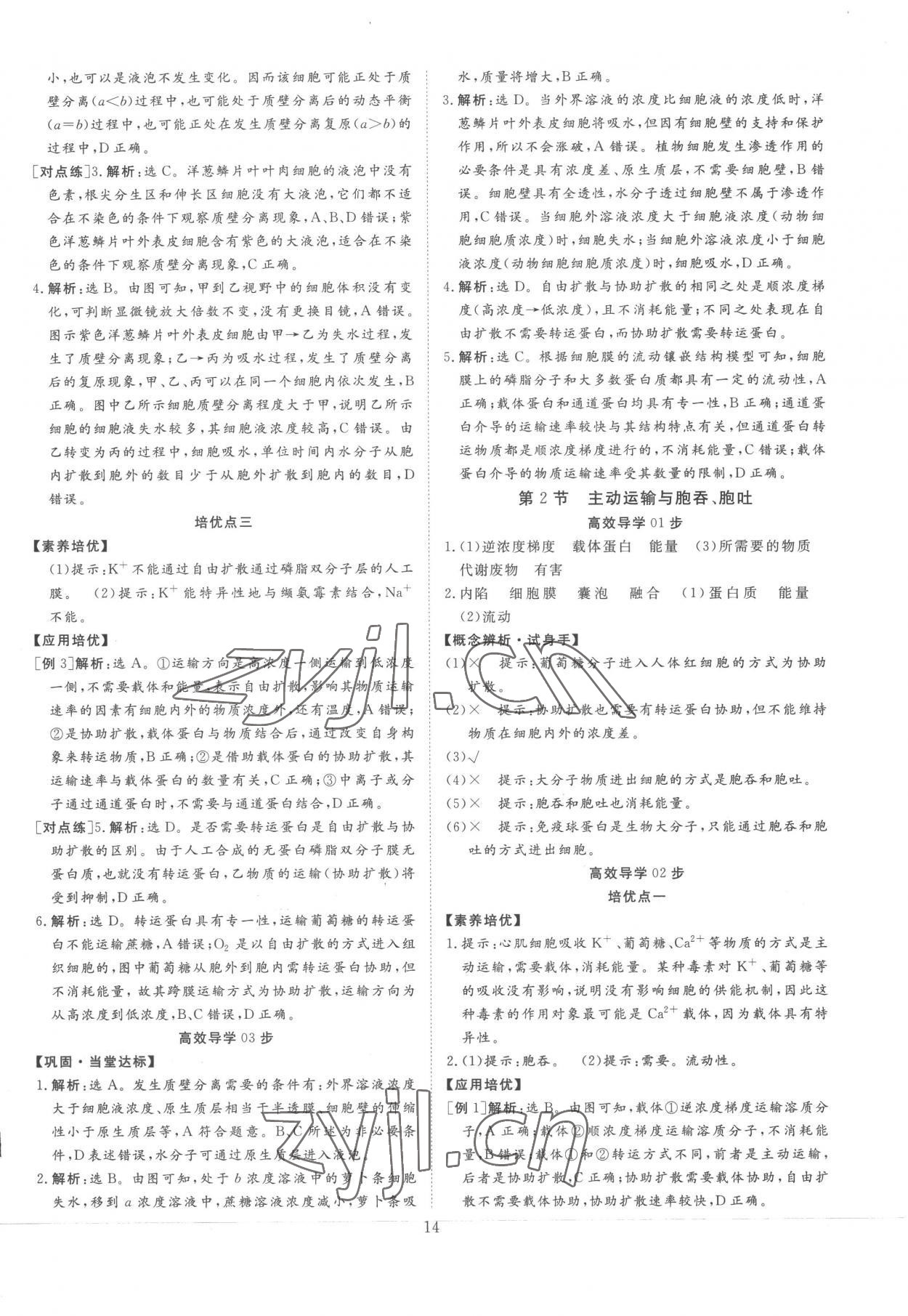 2022年正禾一本通高中生物必修1人教版 參考答案第14頁