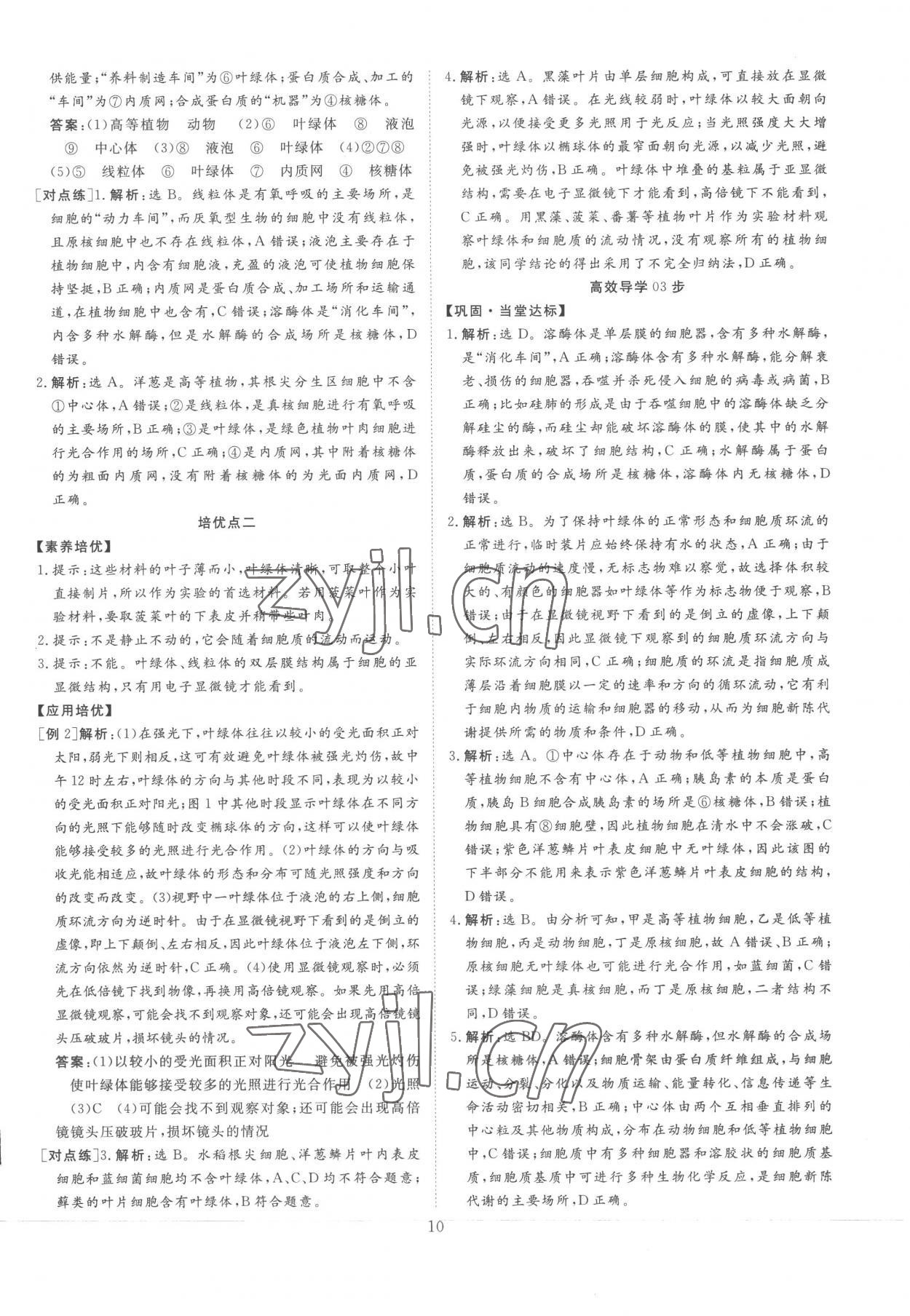 2022年正禾一本通高中生物必修1人教版 參考答案第10頁