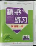 2022年精彩練習(xí)就練這一本八年級(jí)語(yǔ)文上冊(cè)人教版