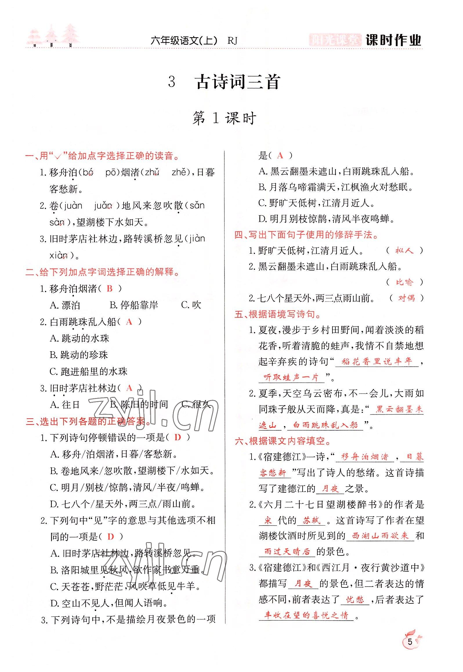 2022年阳光课堂课时作业六年级语文上册人教版 参考答案第5页