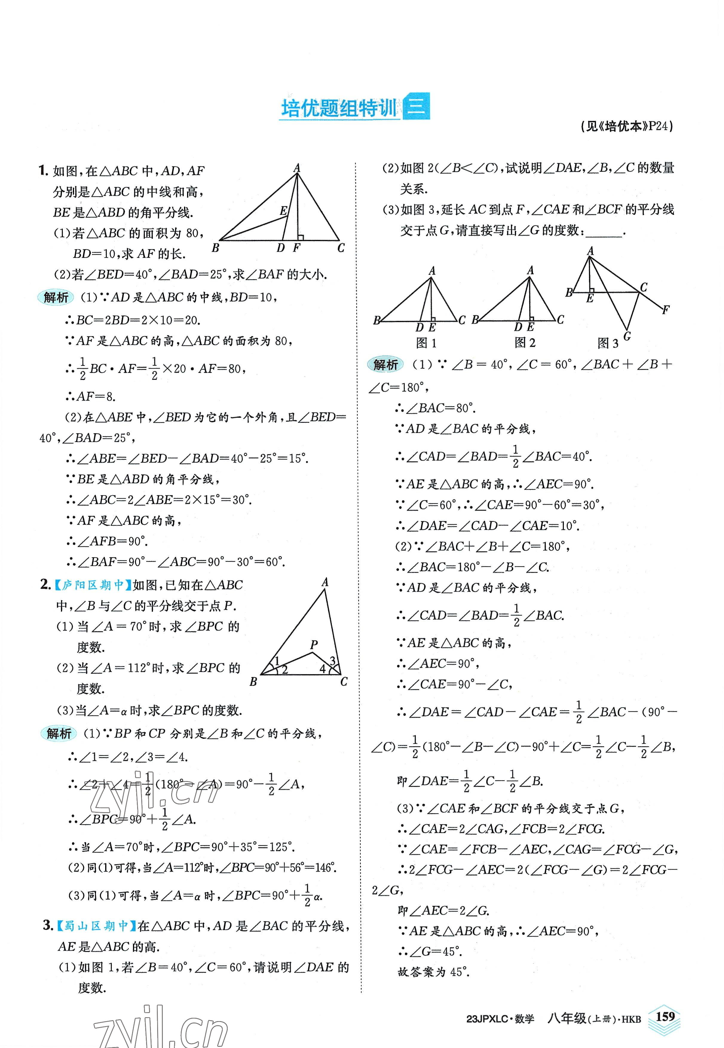 2022年金牌學(xué)練測八年級數(shù)學(xué)上冊滬科版 參考答案第21頁