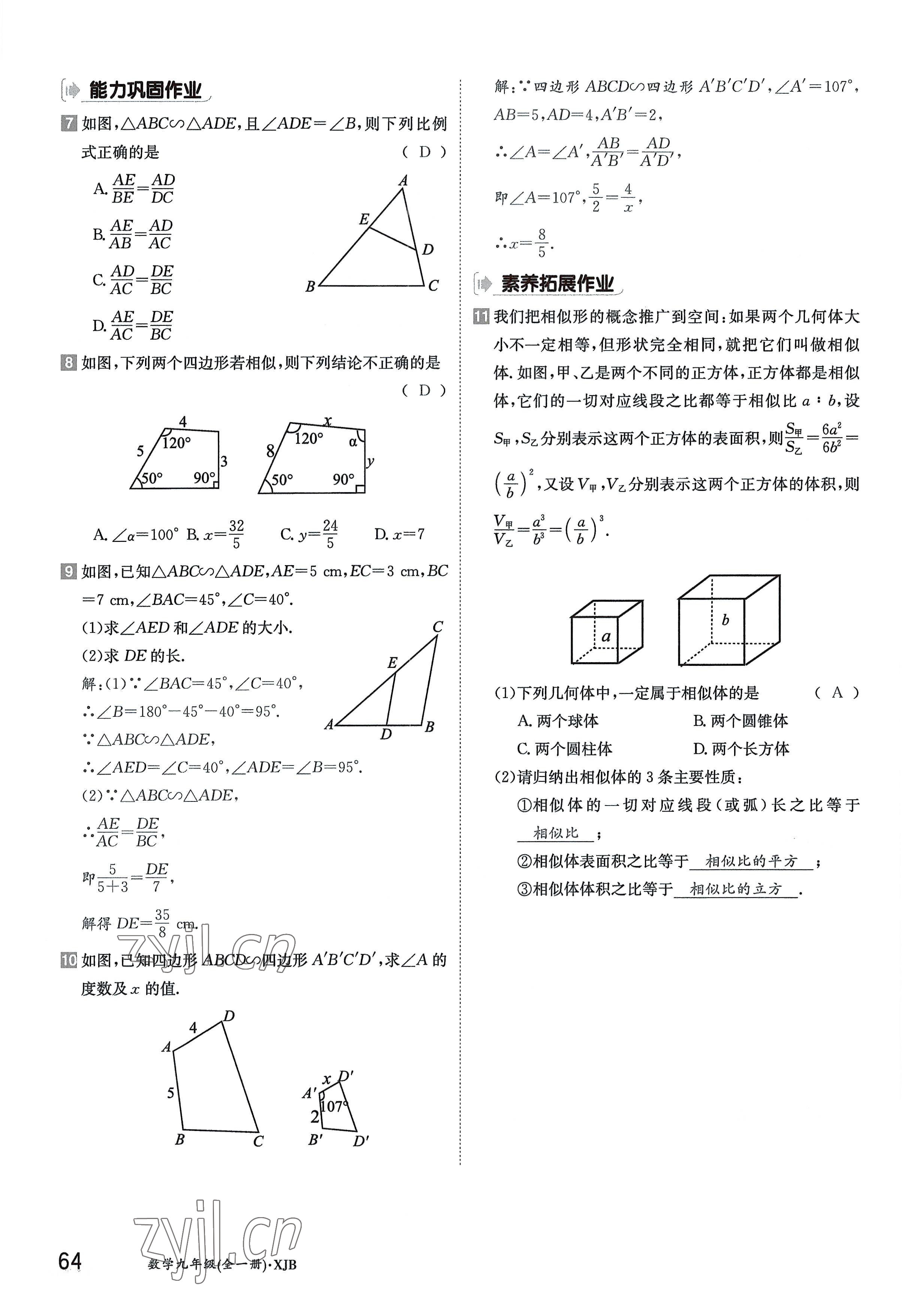 2022年金太陽導(dǎo)學(xué)案九年級數(shù)學(xué)全一冊湘教版 參考答案第64頁