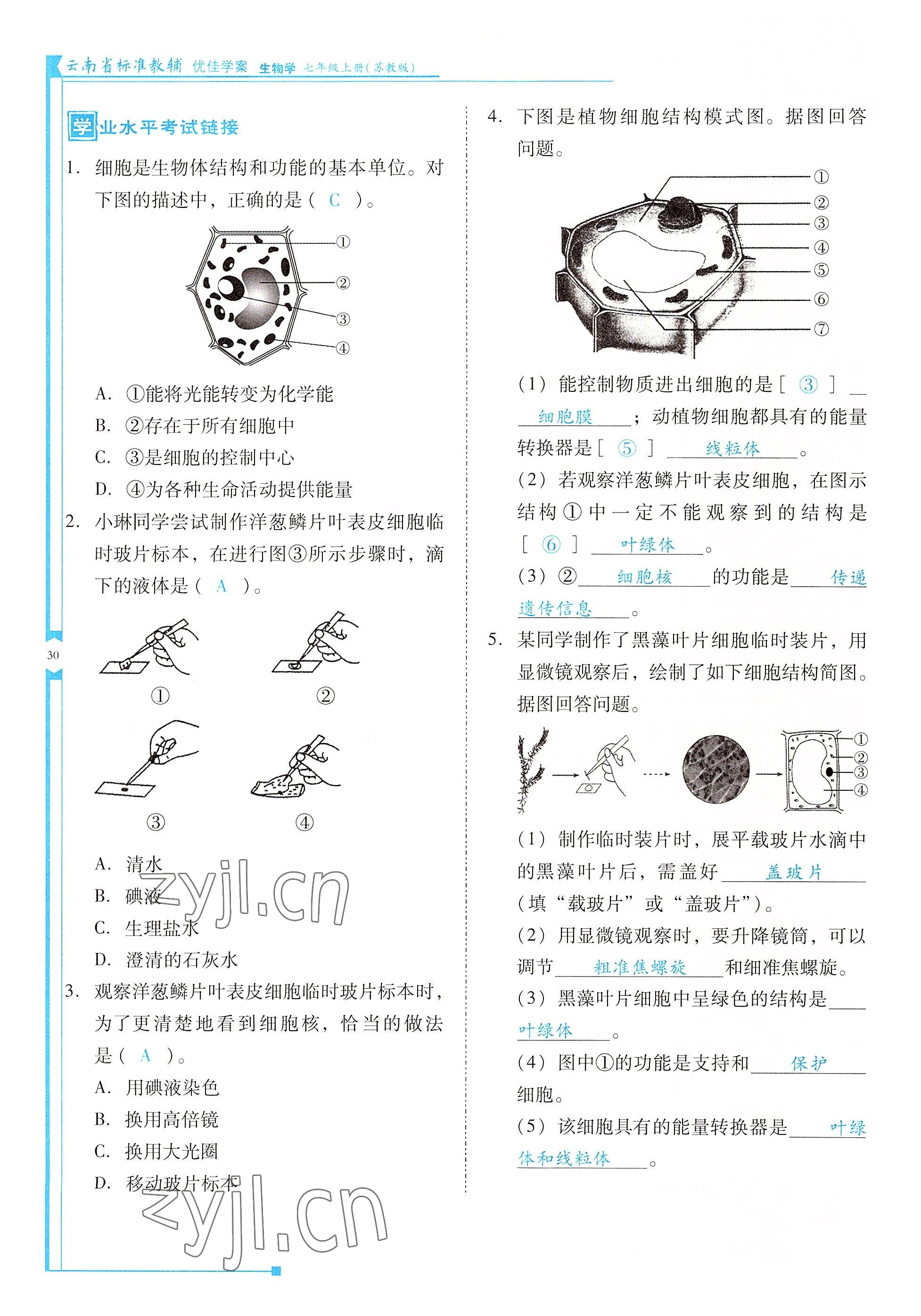 2022年云南省標(biāo)準(zhǔn)教輔優(yōu)佳學(xué)案七年級生物上冊蘇教版 參考答案第30頁