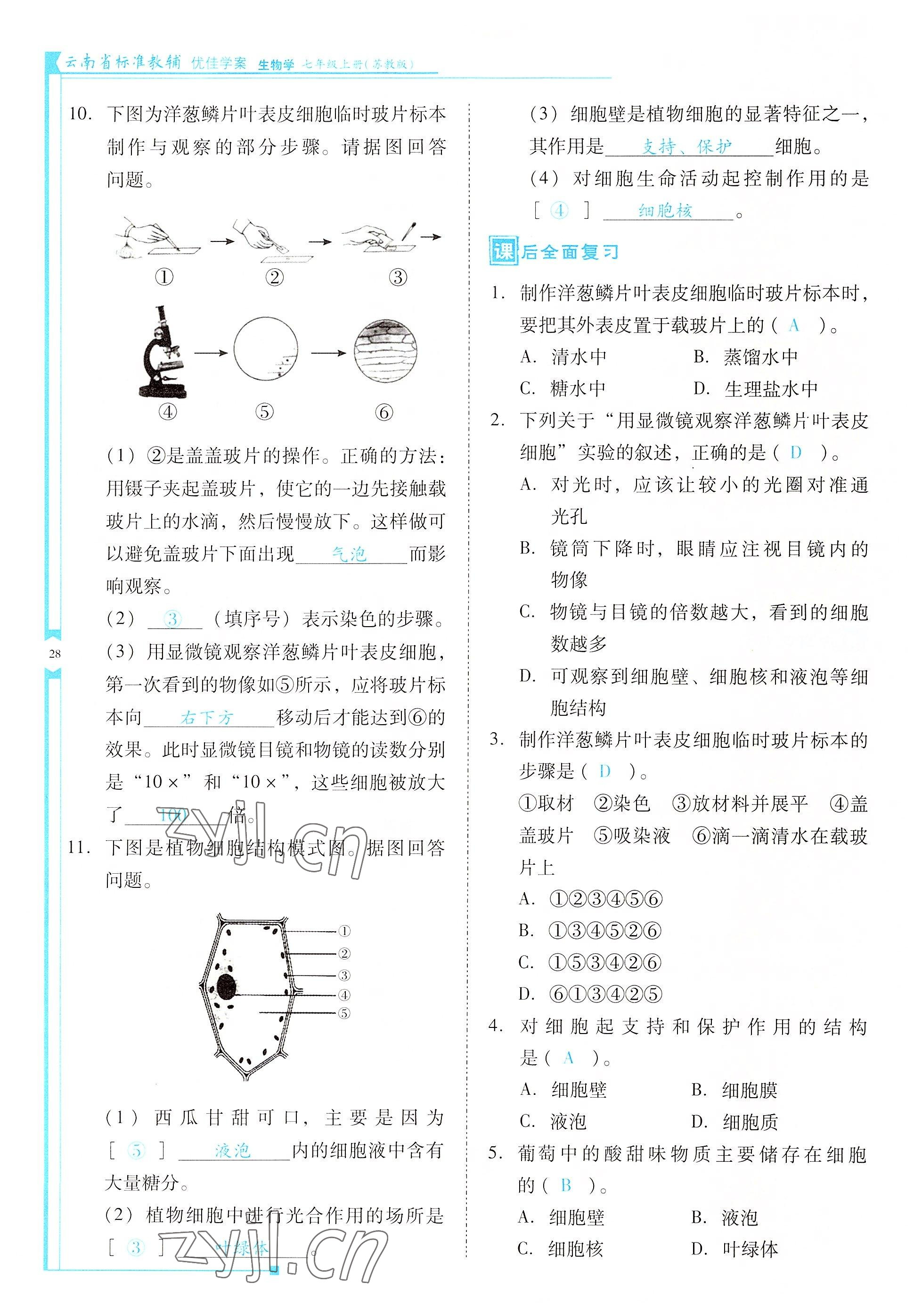 2022年云南省標準教輔優(yōu)佳學(xué)案七年級生物上冊蘇教版 參考答案第28頁