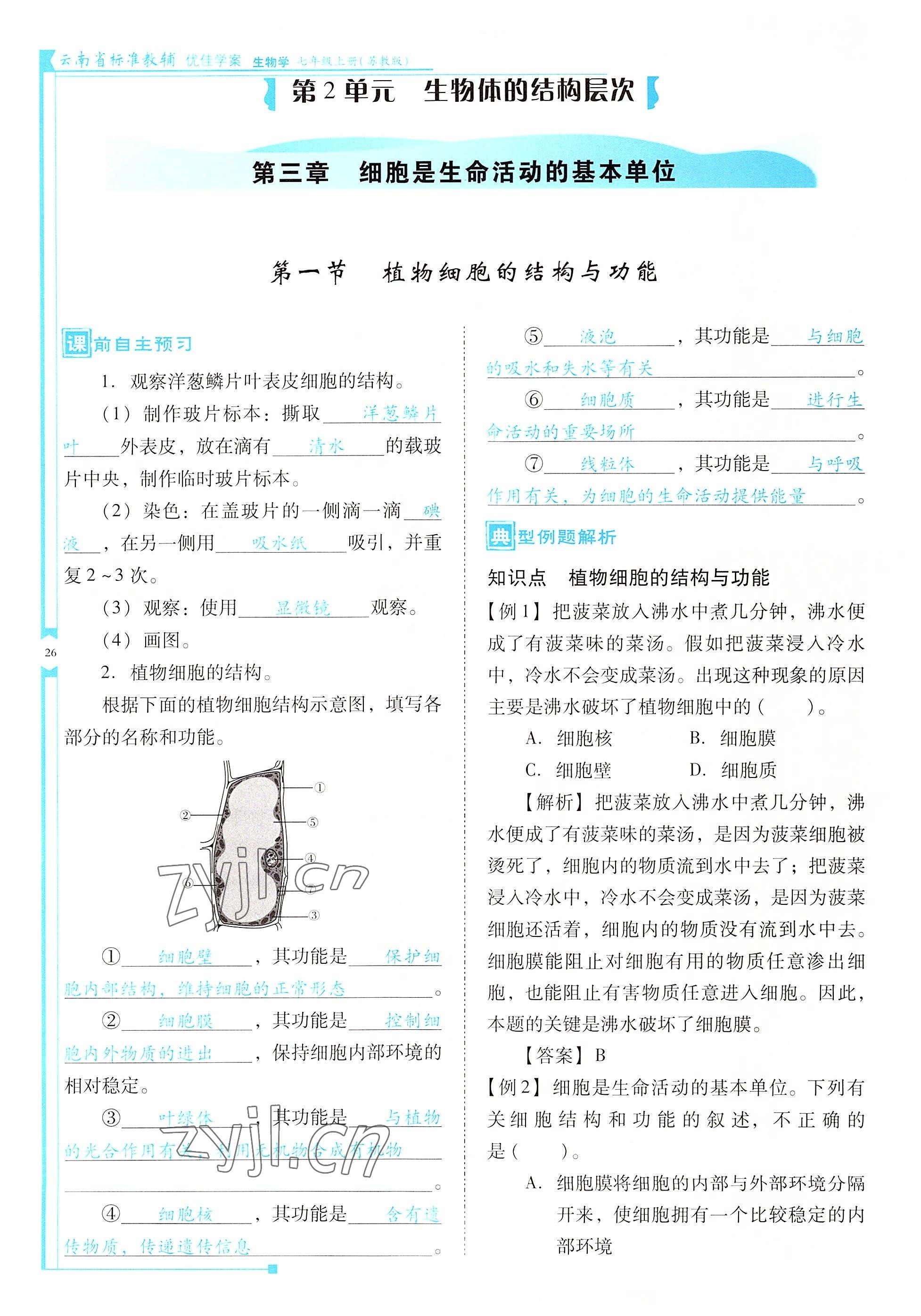 2022年云南省標準教輔優(yōu)佳學案七年級生物上冊蘇教版 參考答案第26頁