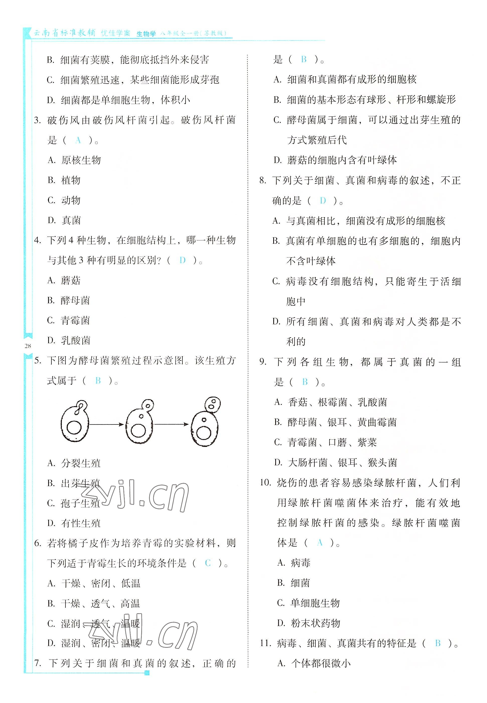 2022年云南省標準教輔優(yōu)佳學案八年級生物全一冊蘇教版 參考答案第28頁