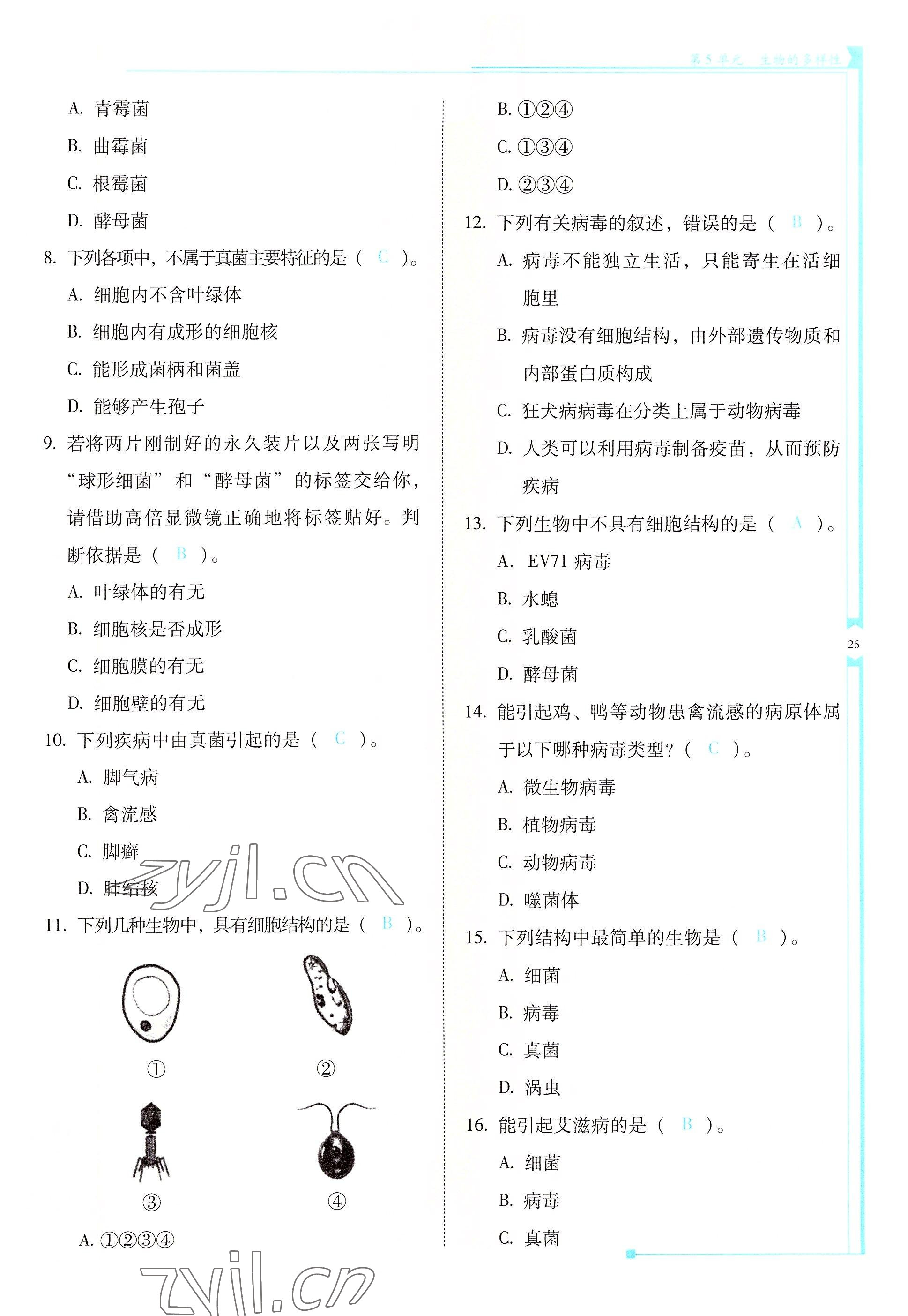 2022年云南省標(biāo)準(zhǔn)教輔優(yōu)佳學(xué)案八年級生物全一冊蘇教版 參考答案第25頁