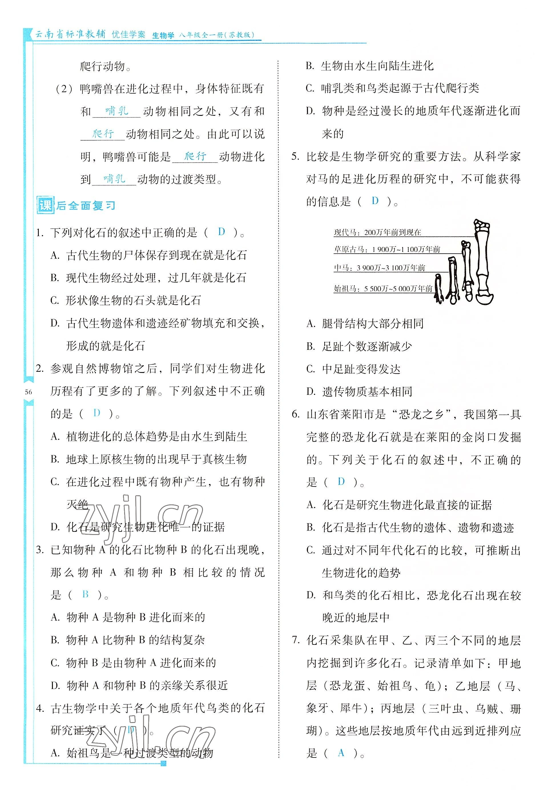 2022年云南省標(biāo)準(zhǔn)教輔優(yōu)佳學(xué)案八年級生物全一冊蘇教版 參考答案第56頁