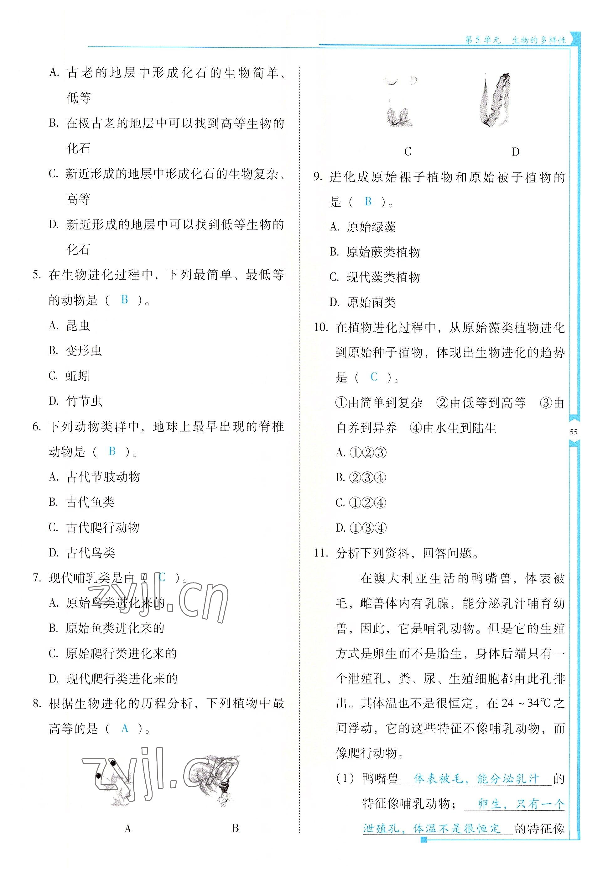 2022年云南省標準教輔優(yōu)佳學(xué)案八年級生物全一冊蘇教版 參考答案第55頁