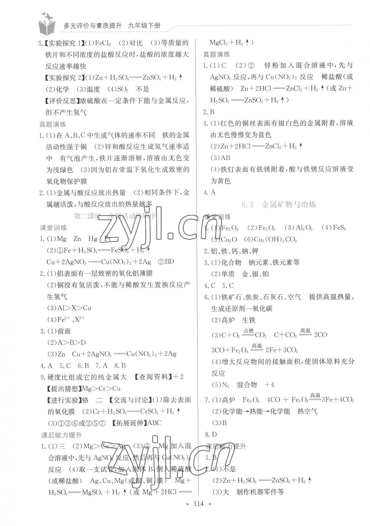 2023年多元評價與素質(zhì)提升九年級化學下冊科粵版 第2頁