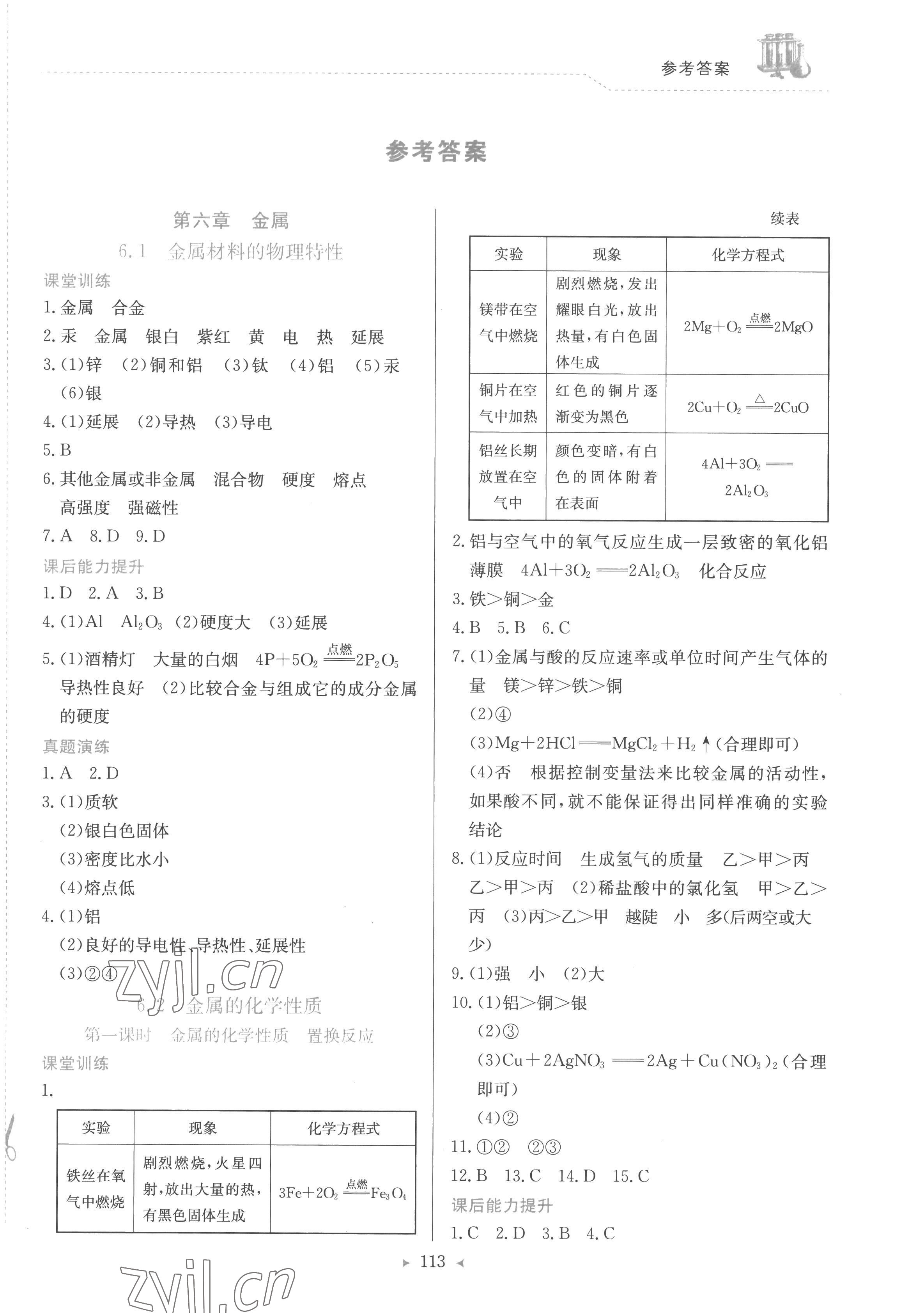 2023年多元評(píng)價(jià)與素質(zhì)提升九年級(jí)化學(xué)下冊(cè)科粵版 第1頁