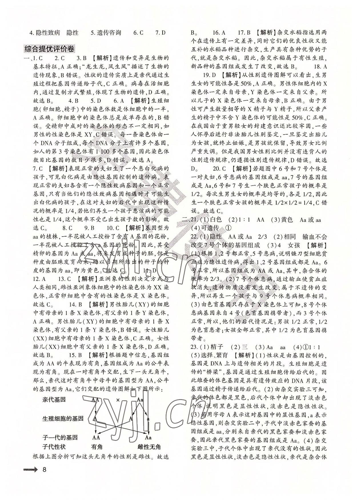 2022年節(jié)節(jié)高大象出版社八年級生物全一冊北師大版 第8頁