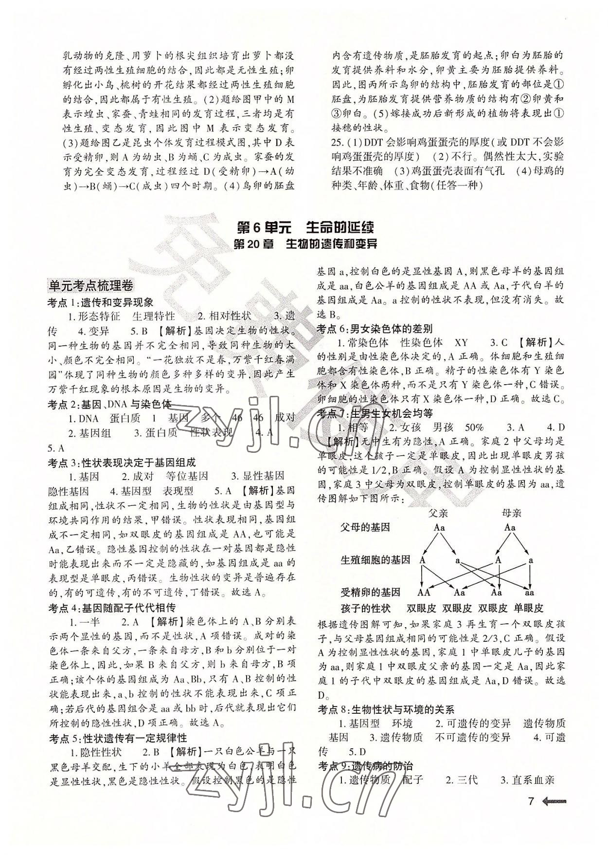 2022年節(jié)節(jié)高大象出版社八年級生物全一冊北師大版 第7頁