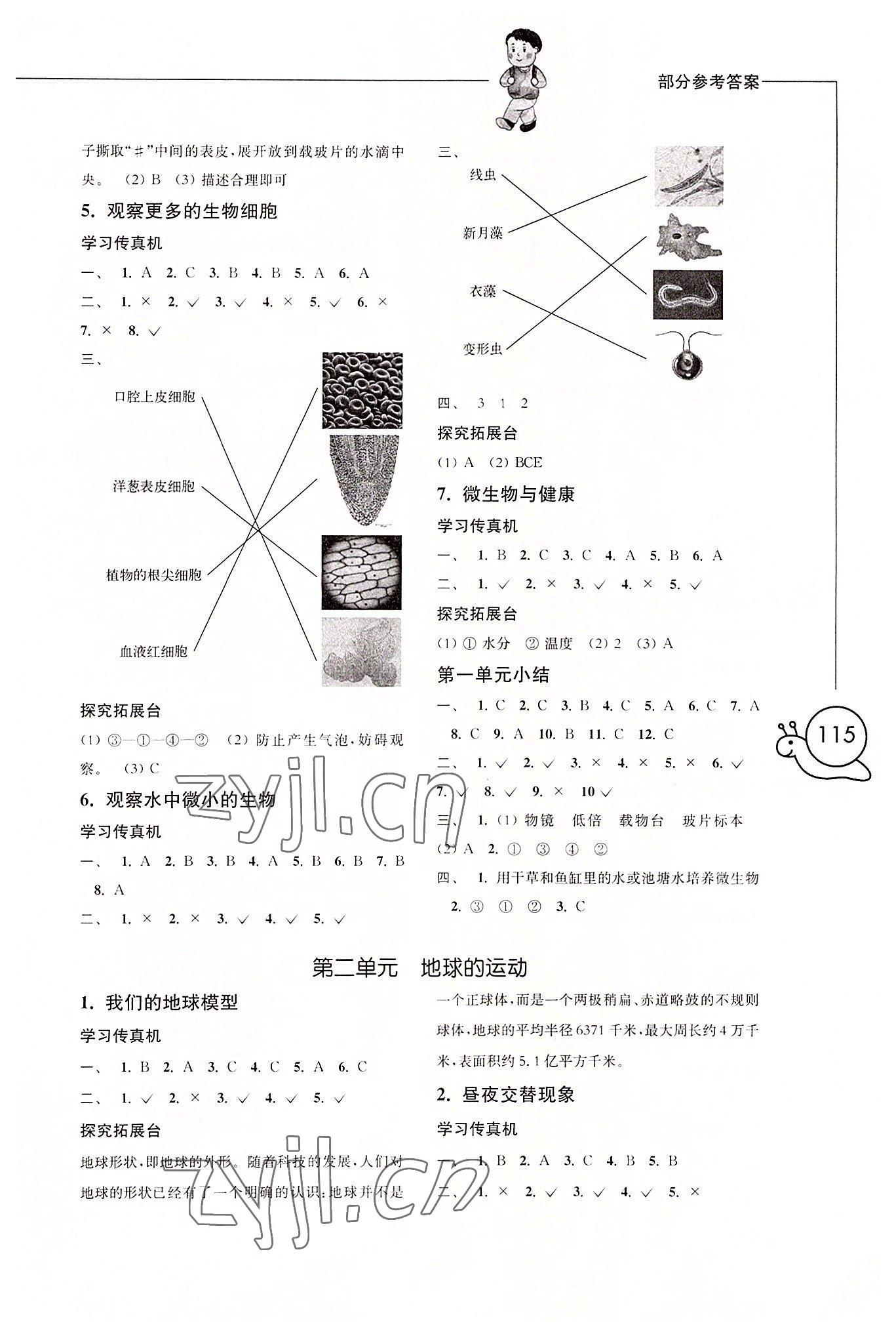 2022年小學(xué)科學(xué)習(xí)作六年級(jí)上冊(cè)教科版增強(qiáng)版 參考答案第2頁(yè)