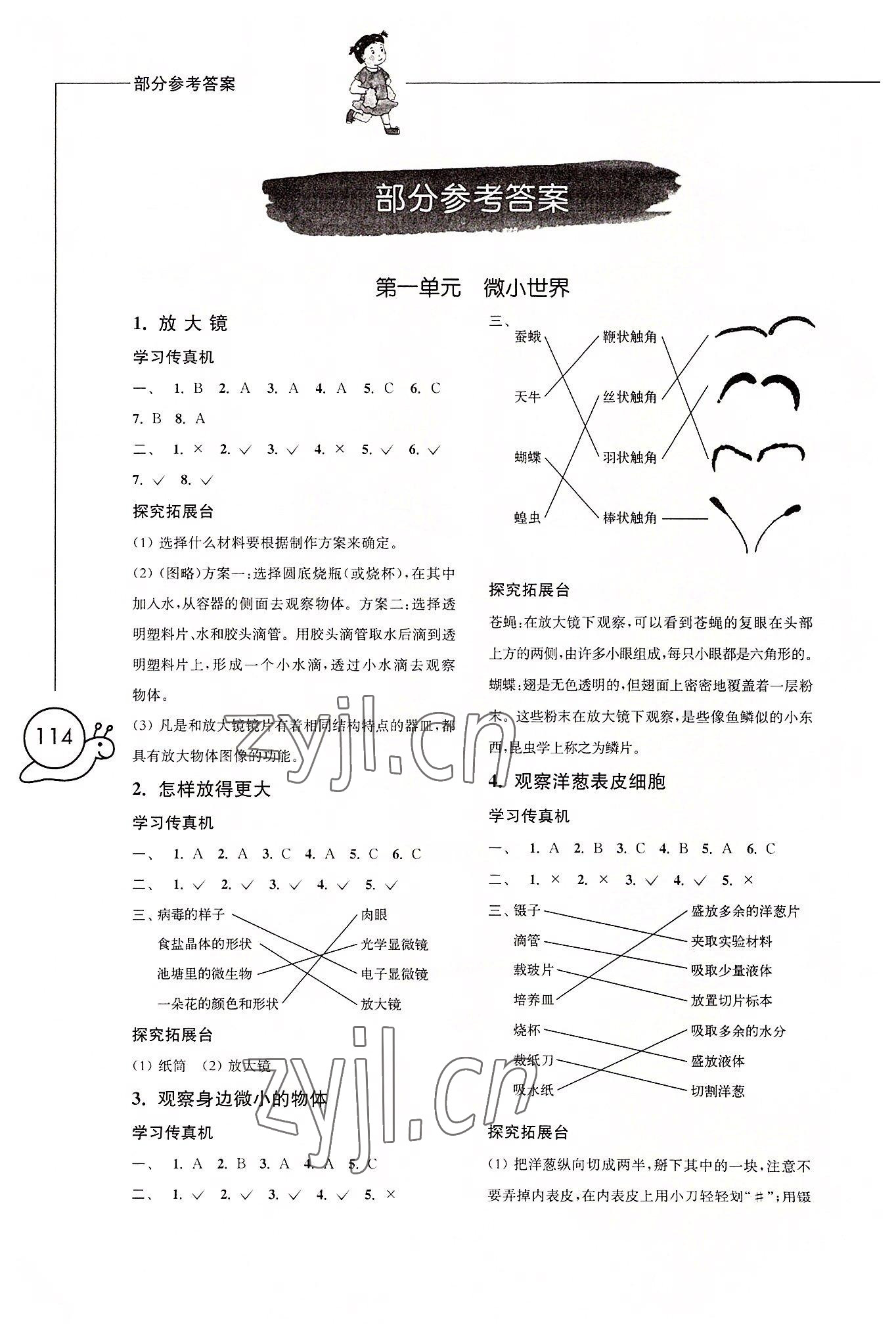 2022年小學(xué)科學(xué)習(xí)作六年級上冊教科版增強版 參考答案第1頁