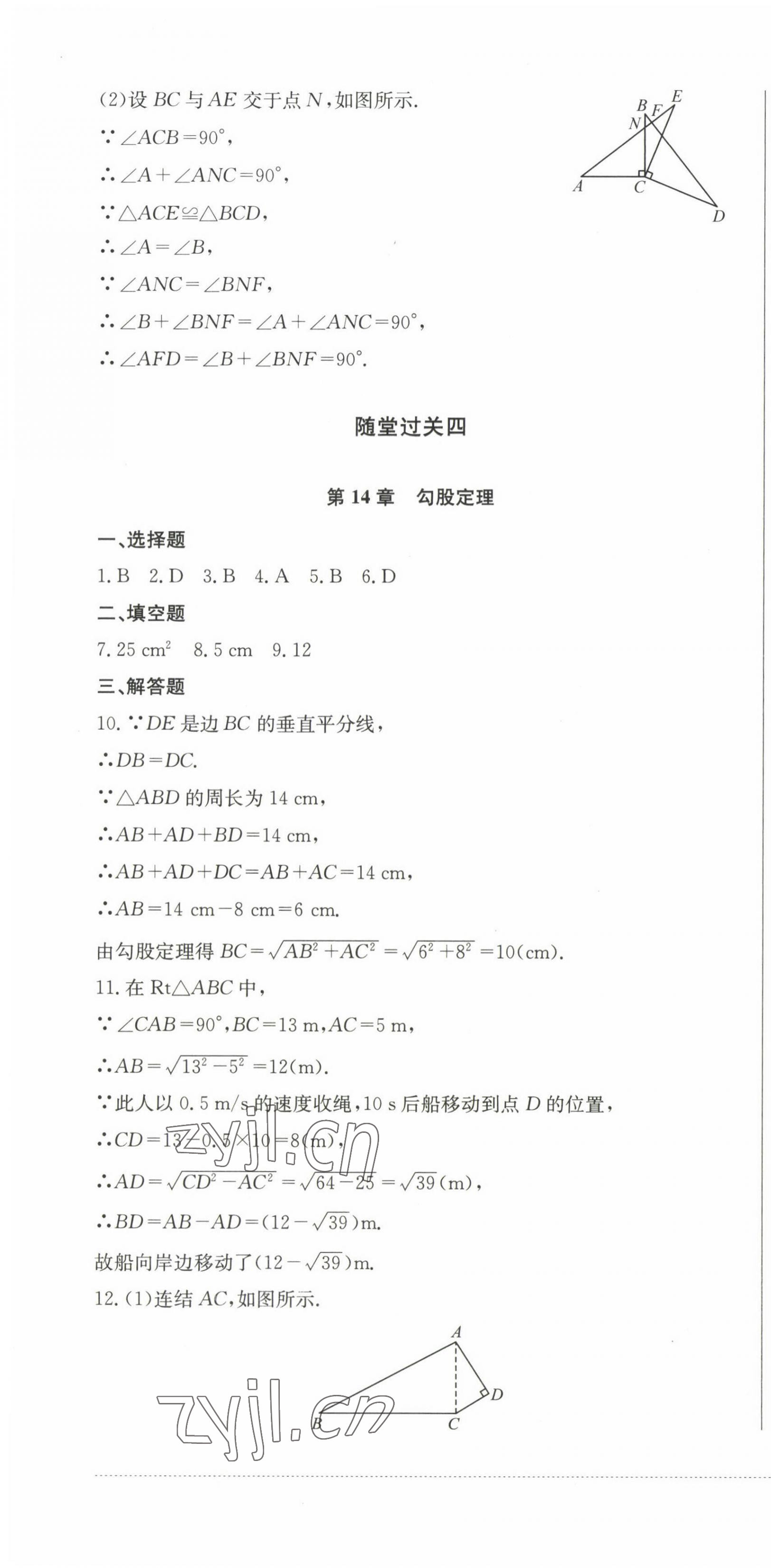 2022年精練過關(guān)四川教育出版社八年級數(shù)學上冊華師大版 第4頁