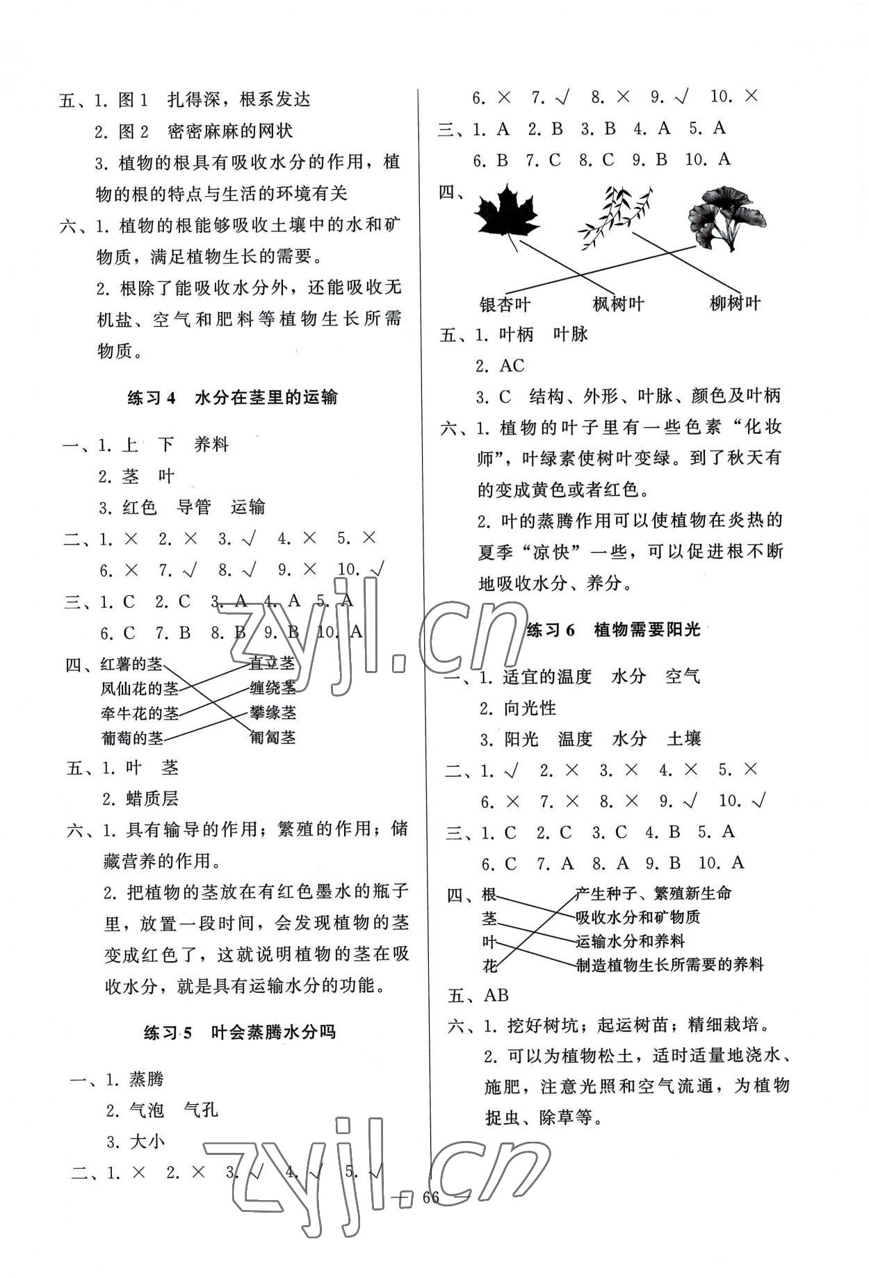 2022年順達測試卷五年級科學上冊科粵版 參考答案第2頁