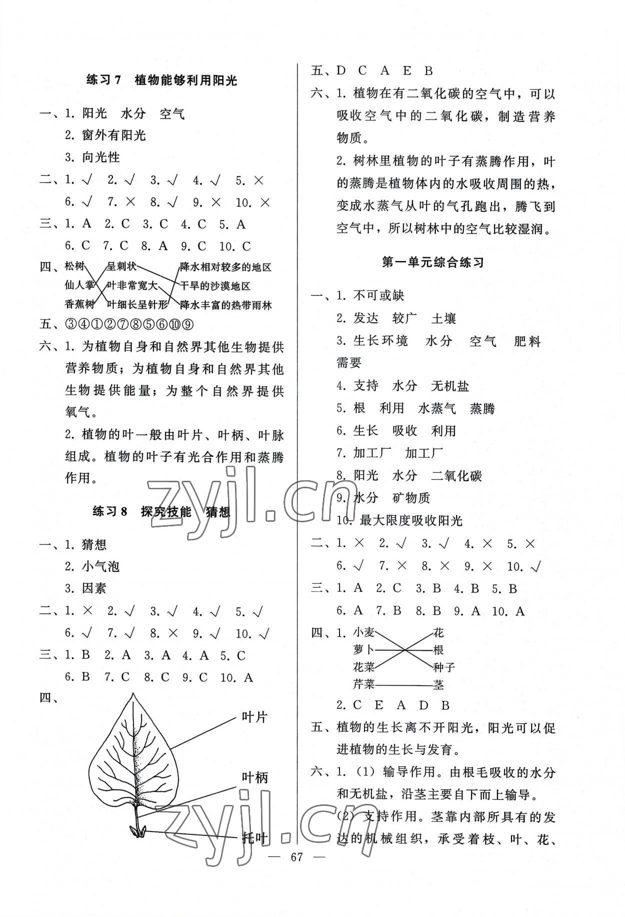 2022年順達(dá)測(cè)試卷五年級(jí)科學(xué)上冊(cè)科粵版 參考答案第3頁