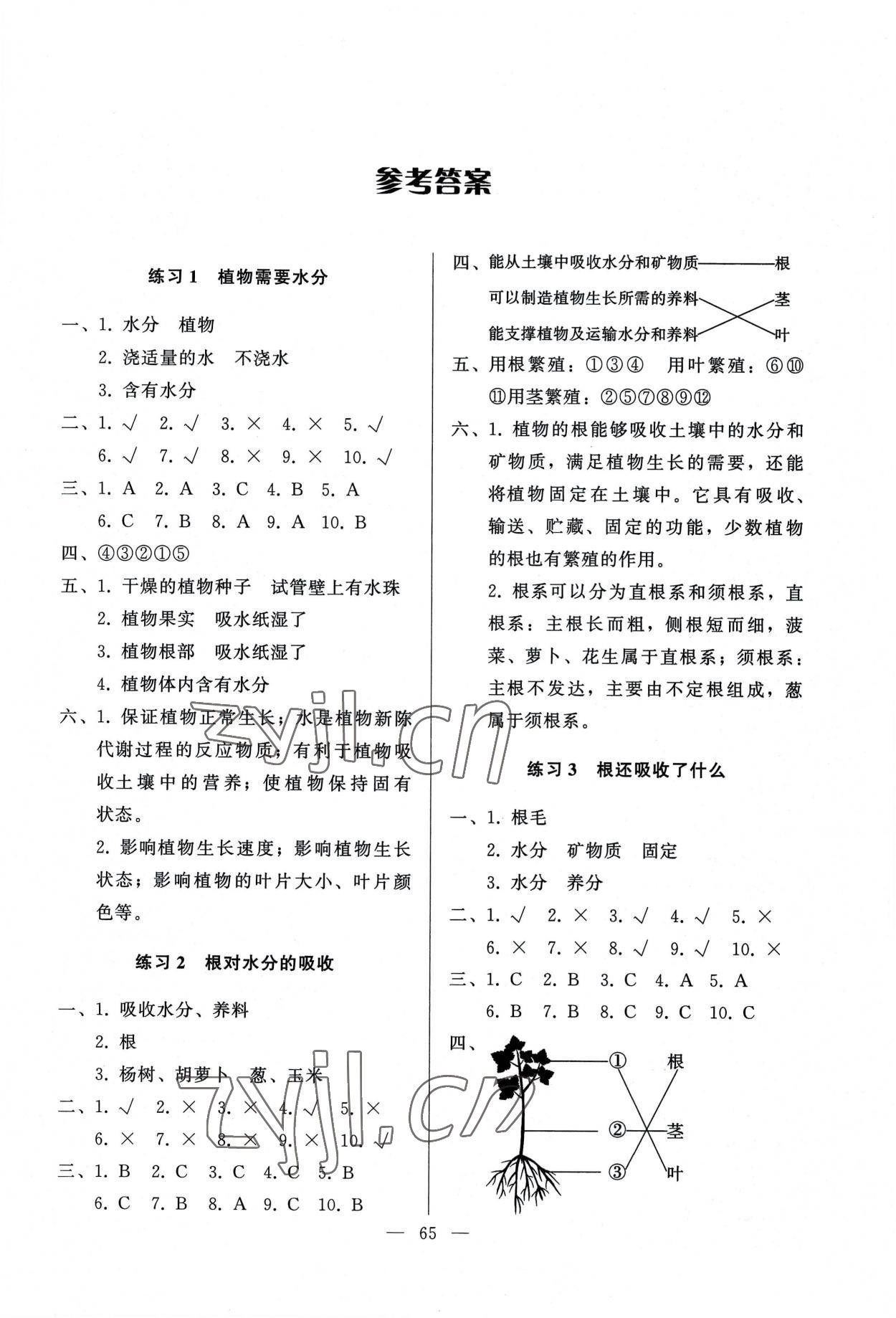 2022年順達測試卷五年級科學上冊科粵版 參考答案第1頁