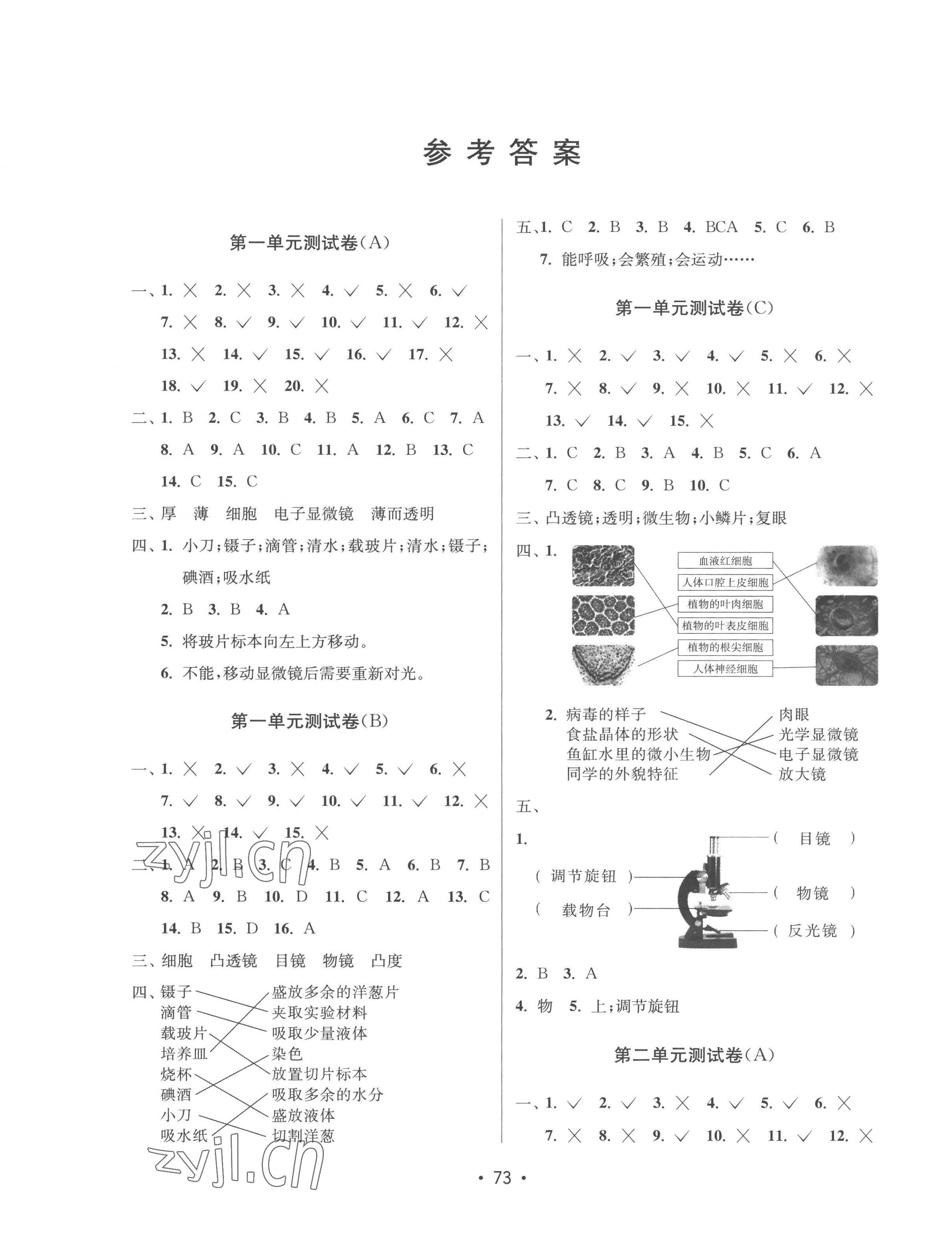 2022年探究科學六年級上冊教科版 第1頁