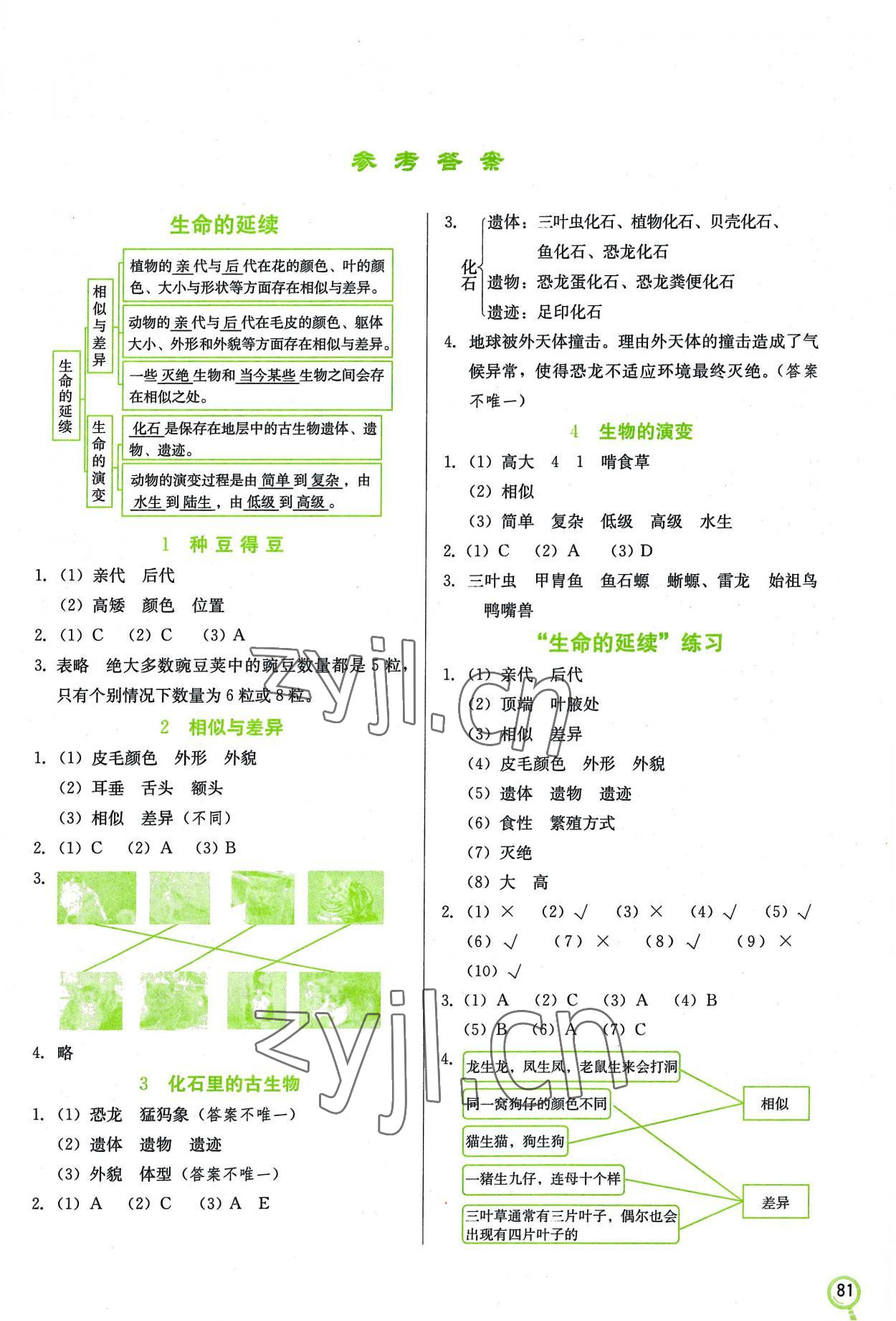 2022年學生同步訓練手冊六年級科學上冊人教版 參考答案第1頁