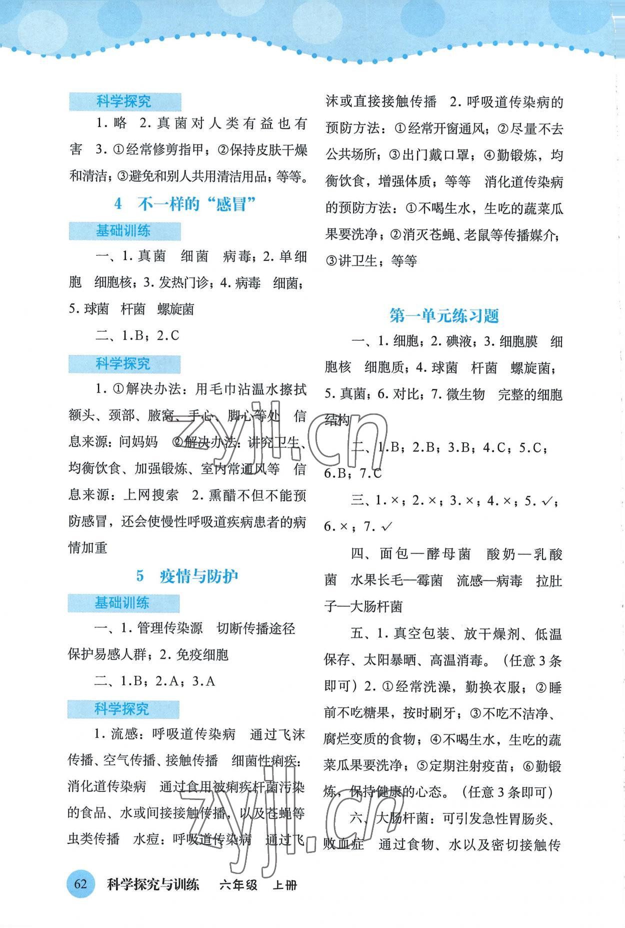 2022年科學(xué)探究與訓(xùn)練六年級(jí)上冊大象版 第2頁