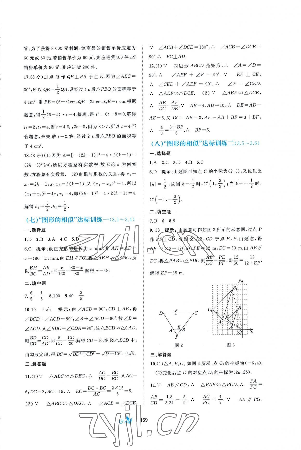 2022年新課程學(xué)習(xí)與測(cè)評(píng)單元雙測(cè)九年級(jí)數(shù)學(xué)全一冊(cè)湘教版B版 第5頁(yè)