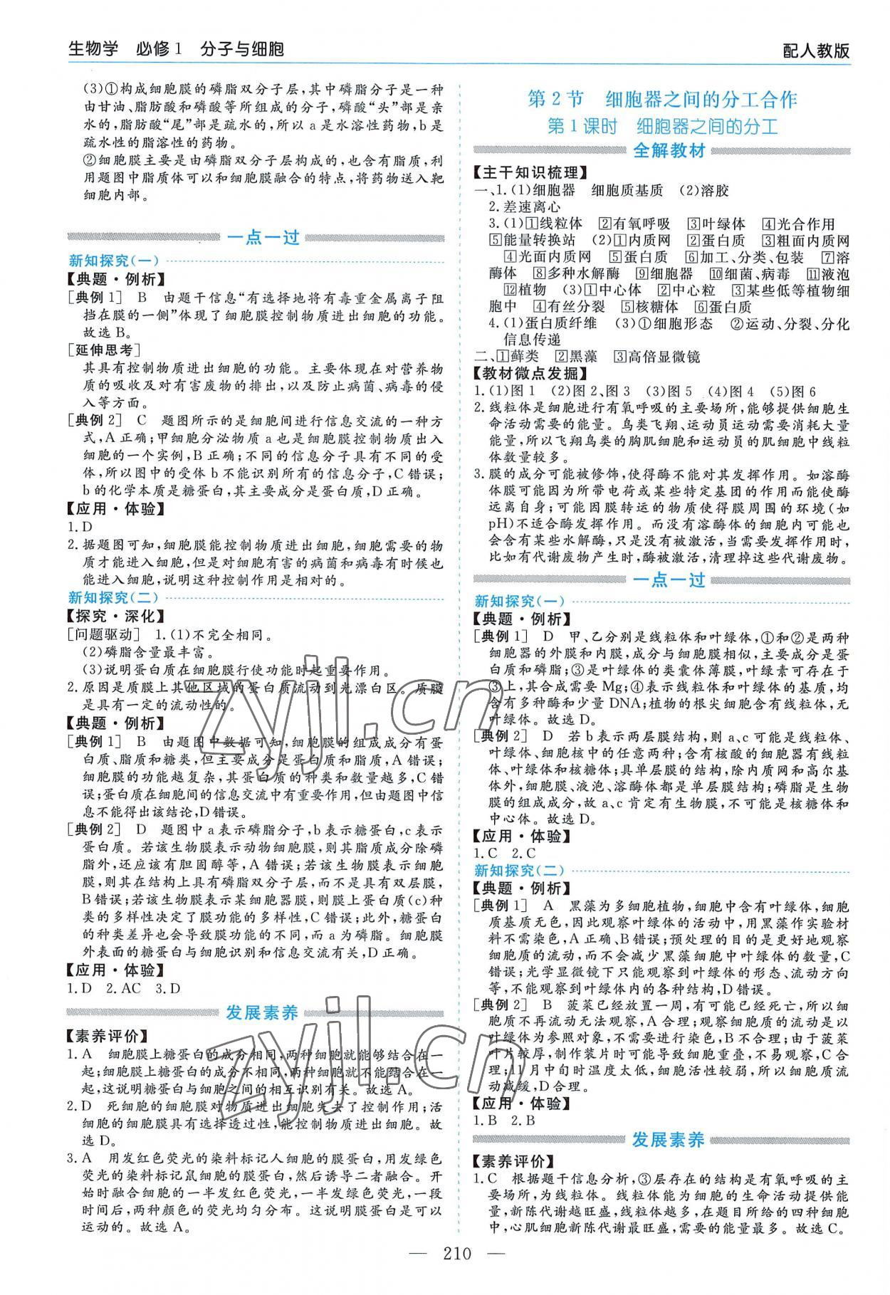 2022年新課程學(xué)習(xí)指導(dǎo)高中生物必修1人教版 第6頁