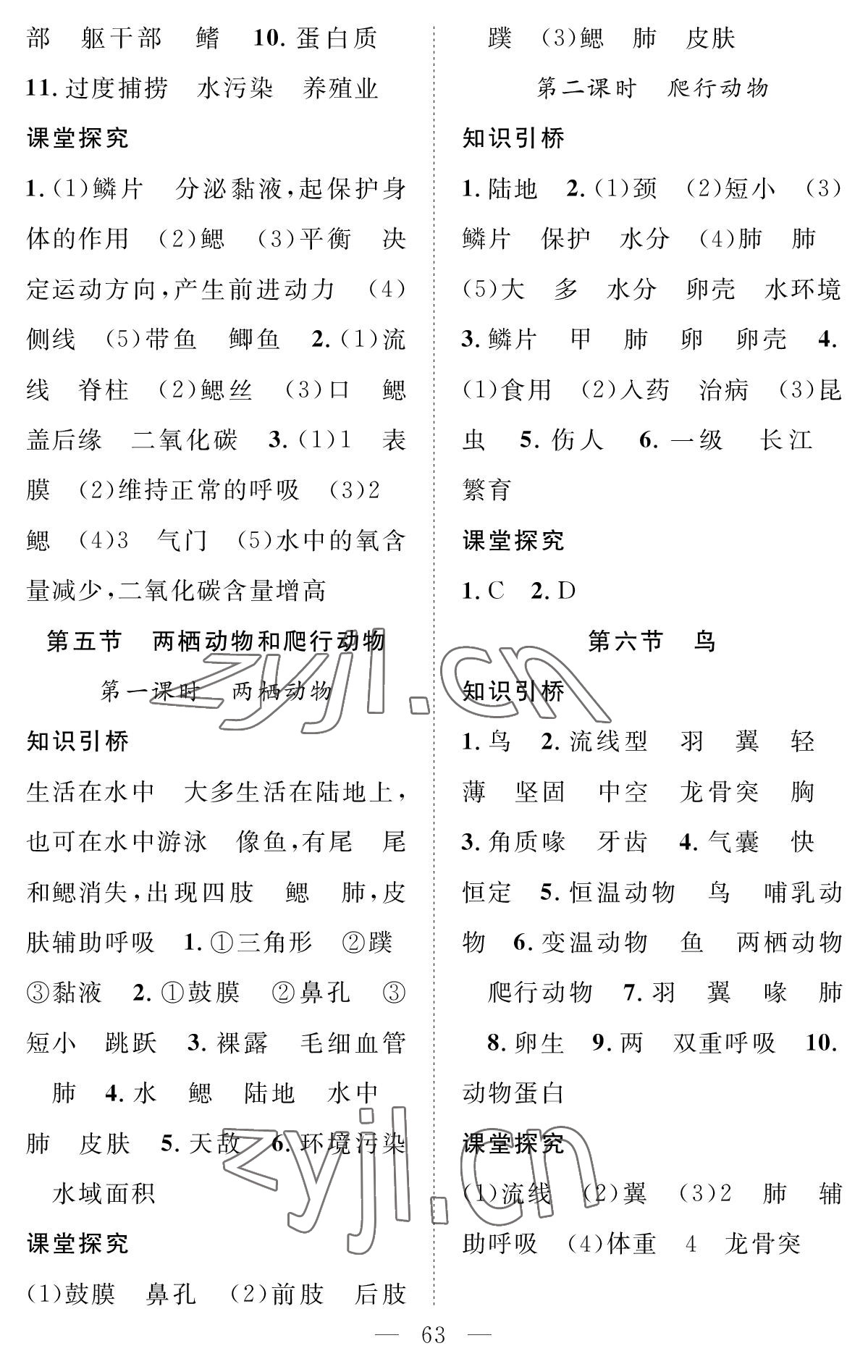 2022年智慧課堂創(chuàng)新作業(yè)八年級生物上冊人教版 參考答案第3頁